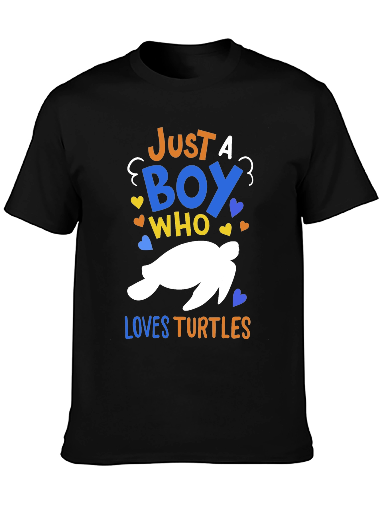 Boys Turtle Lover T-Shirt - Just A Boy Who Loves Turtles