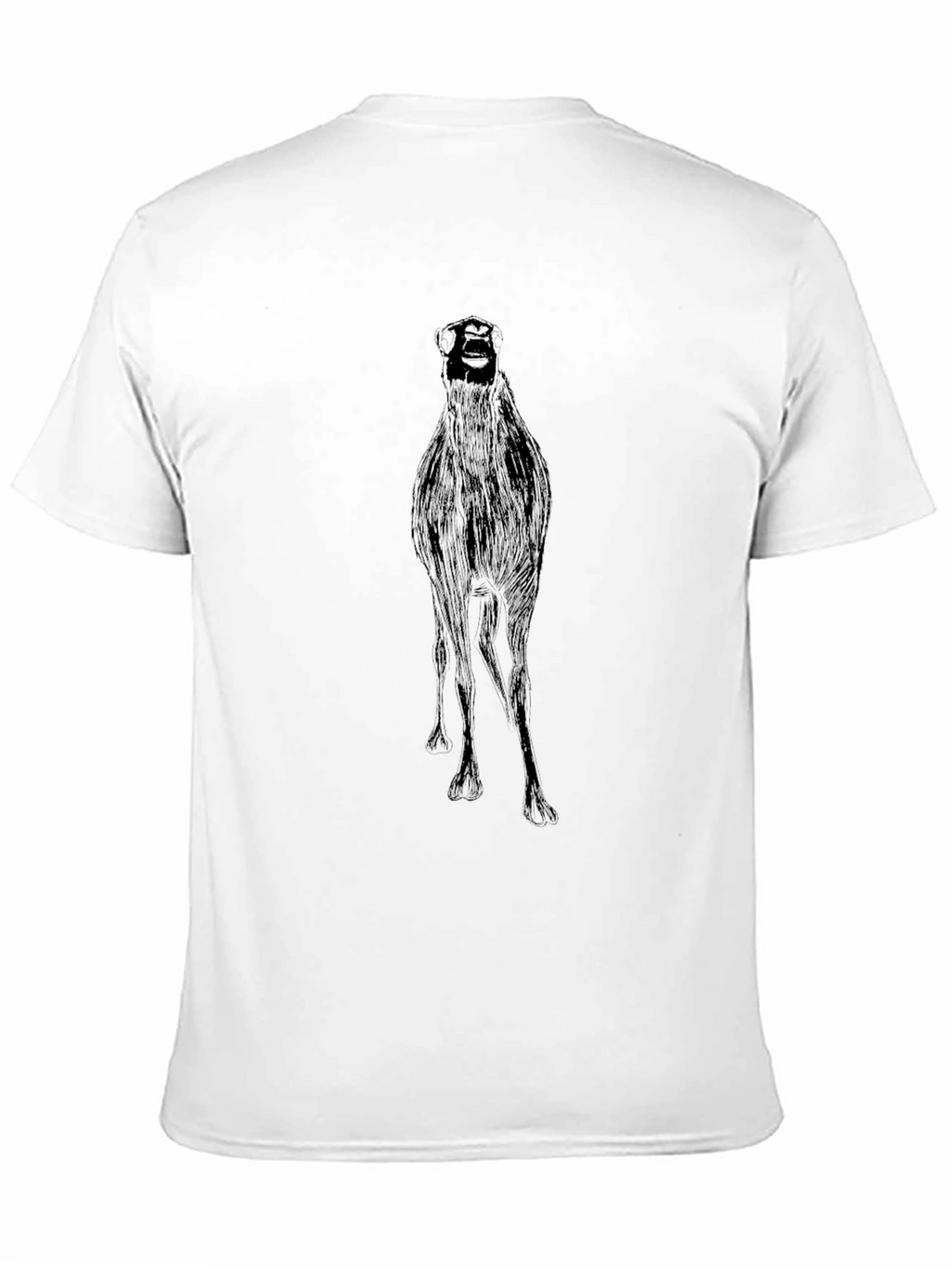 Black Graphic Tee - Quirky Ostrich Print