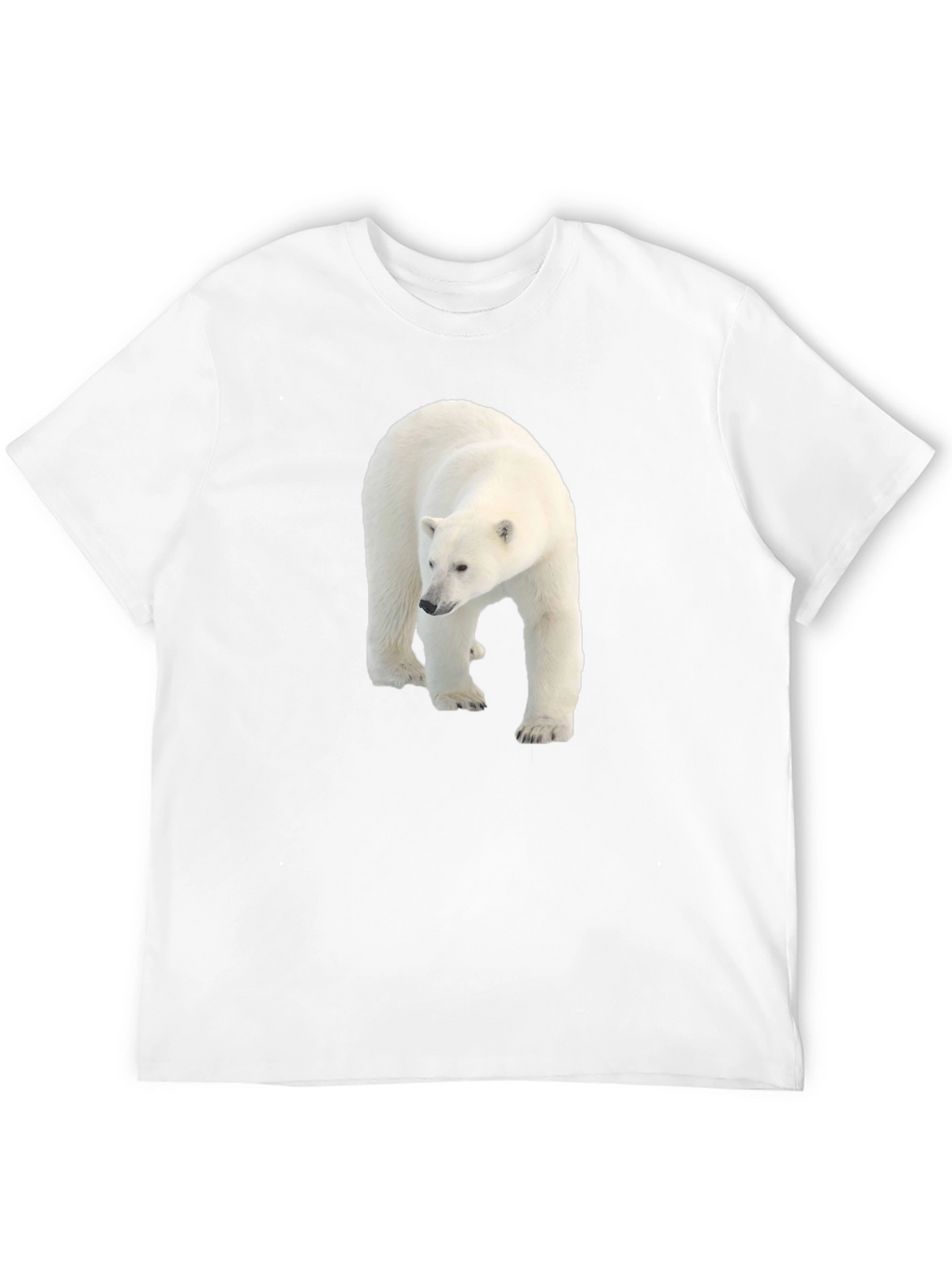 Polar Bear Graphic Black Tee - Eco Friendly