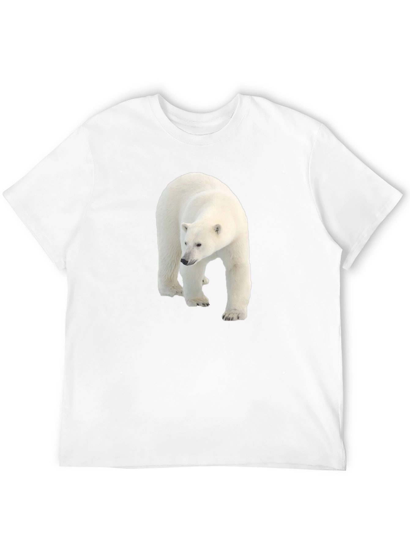 Polar Bear Graphic Black Tee - Eco Friendly