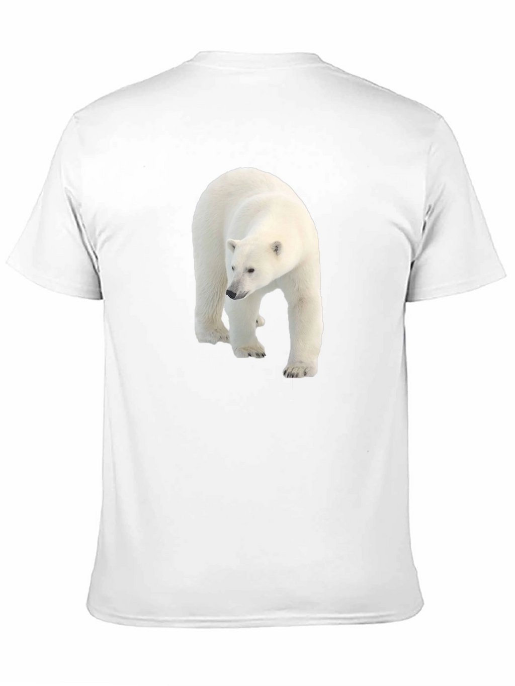 Polar Bear Graphic Black Tee - Eco Friendly
