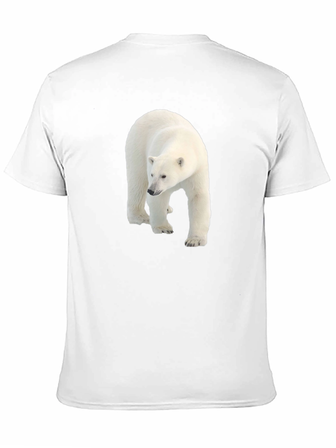 Polar Bear Graphic Black Tee - Eco Friendly