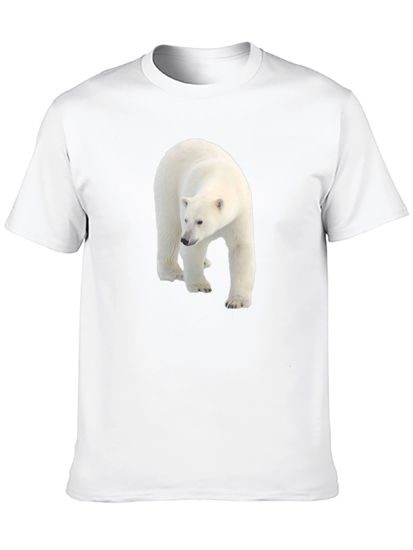 Polar Bear Graphic Black Tee - Eco Friendly