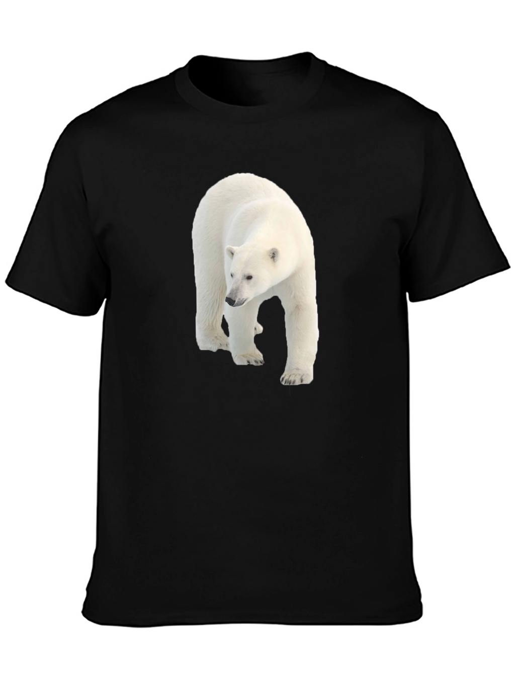 Polar Bear Graphic Black Tee - Eco Friendly