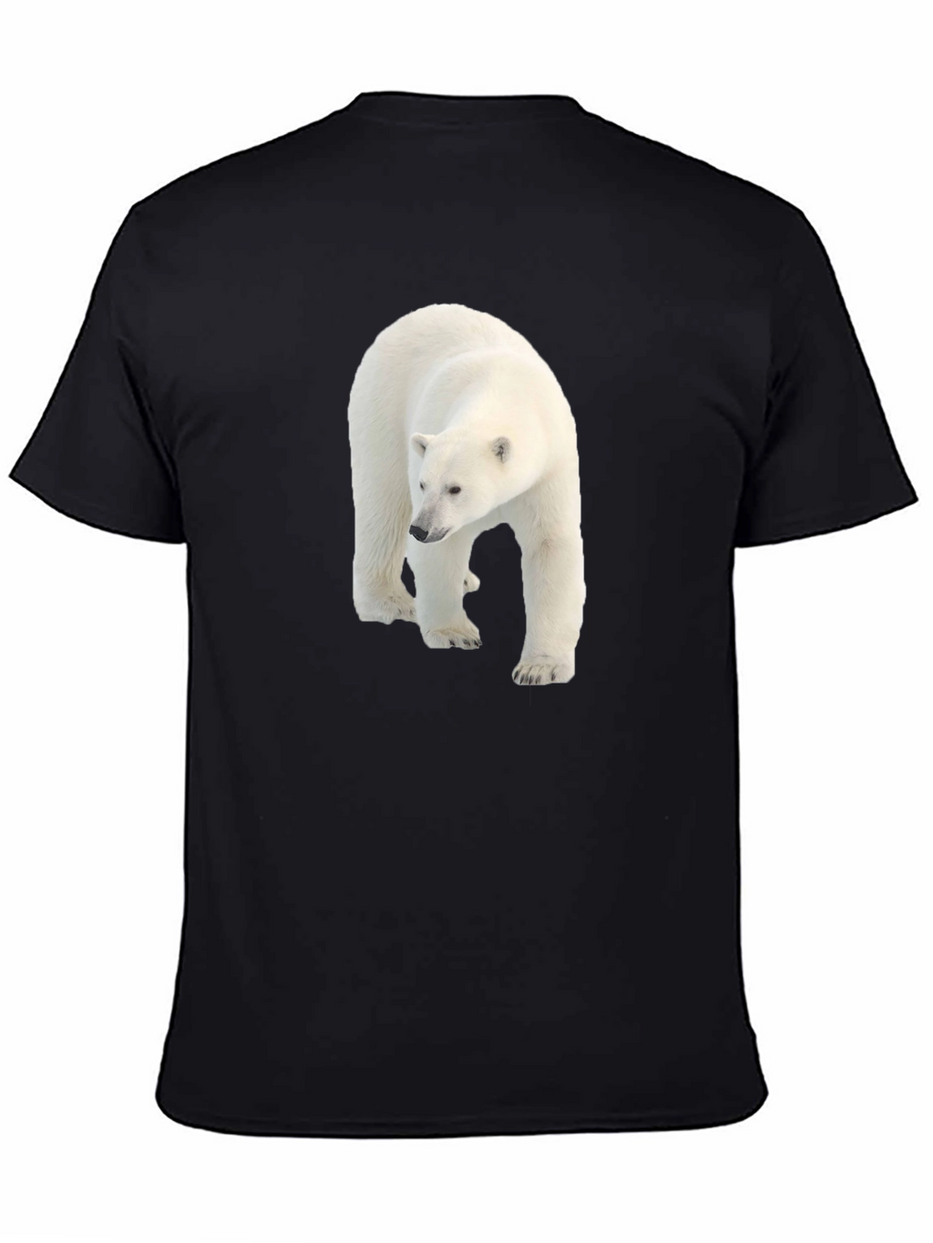 Polar Bear Graphic Black Tee - Eco Friendly