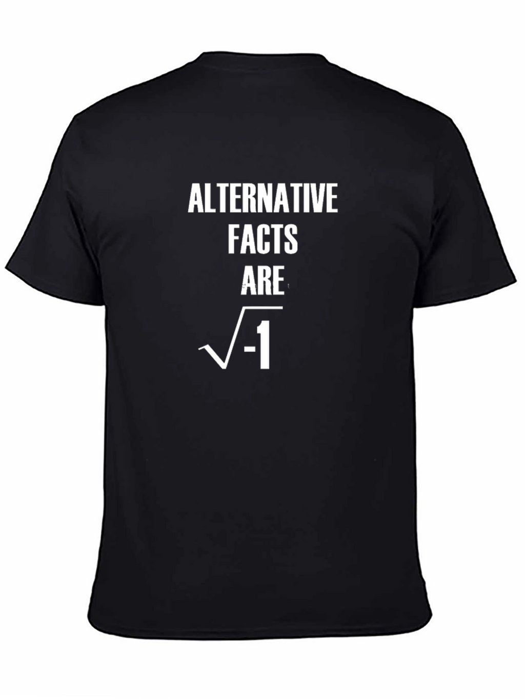 Alternative Facts Math Humor Graphic T-Shirt