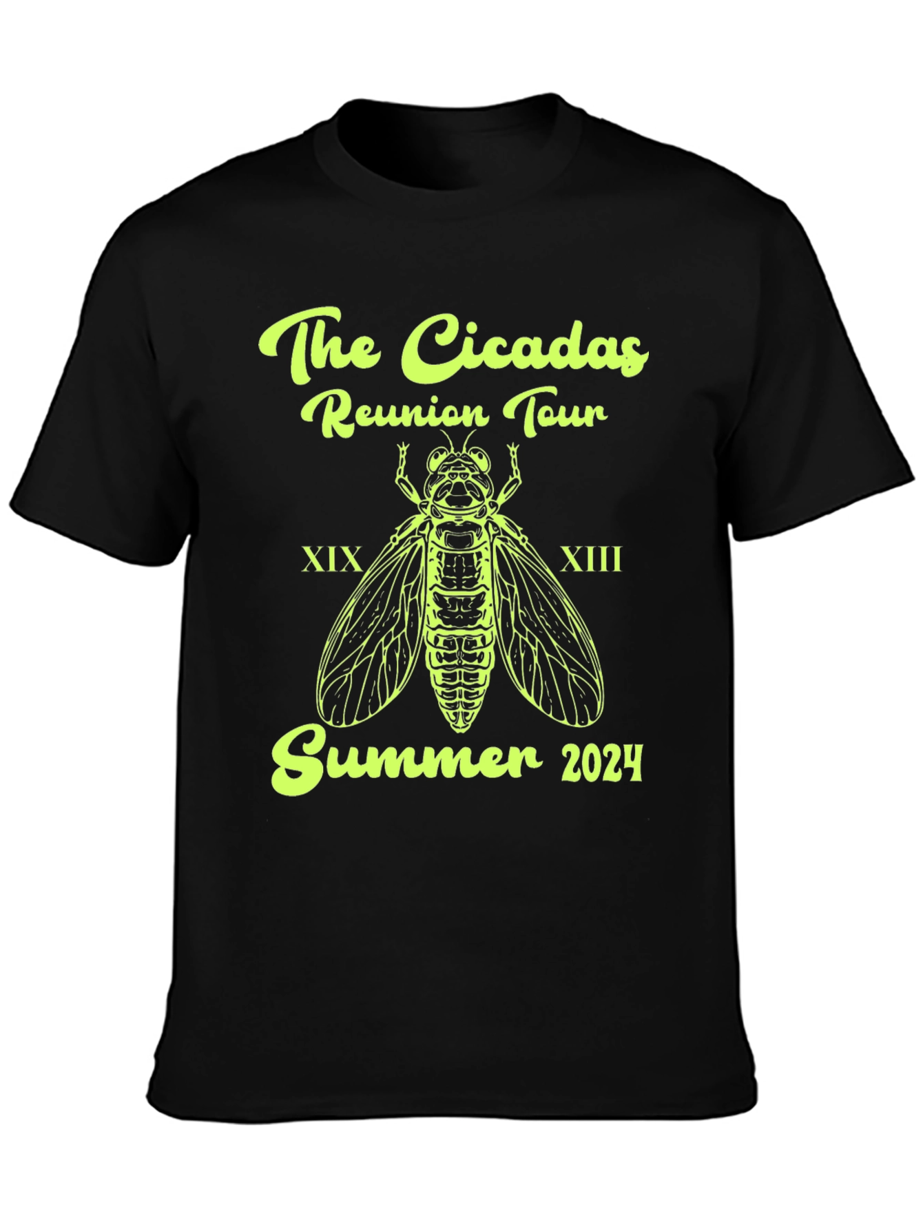 Cicadas Reunion Tour 2024 T-Shirt