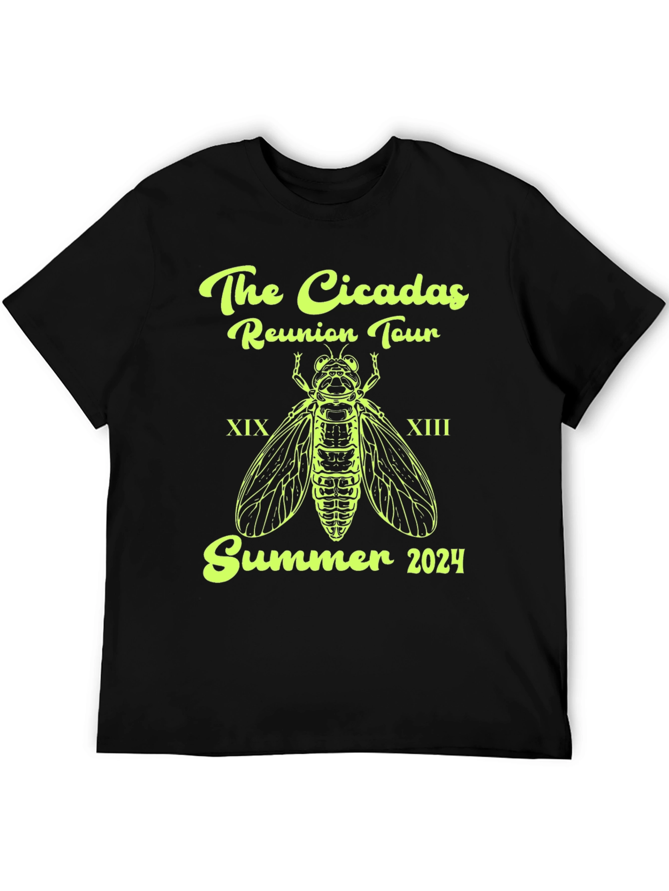 Cicadas Reunion Tour 2024 T-Shirt