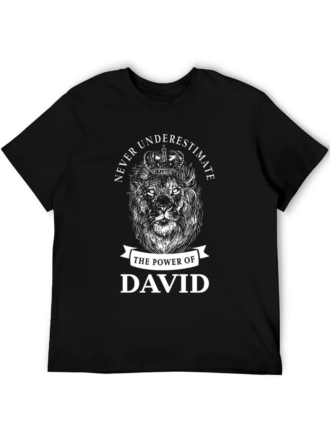 Never Underestimate David Lion T-Shirt