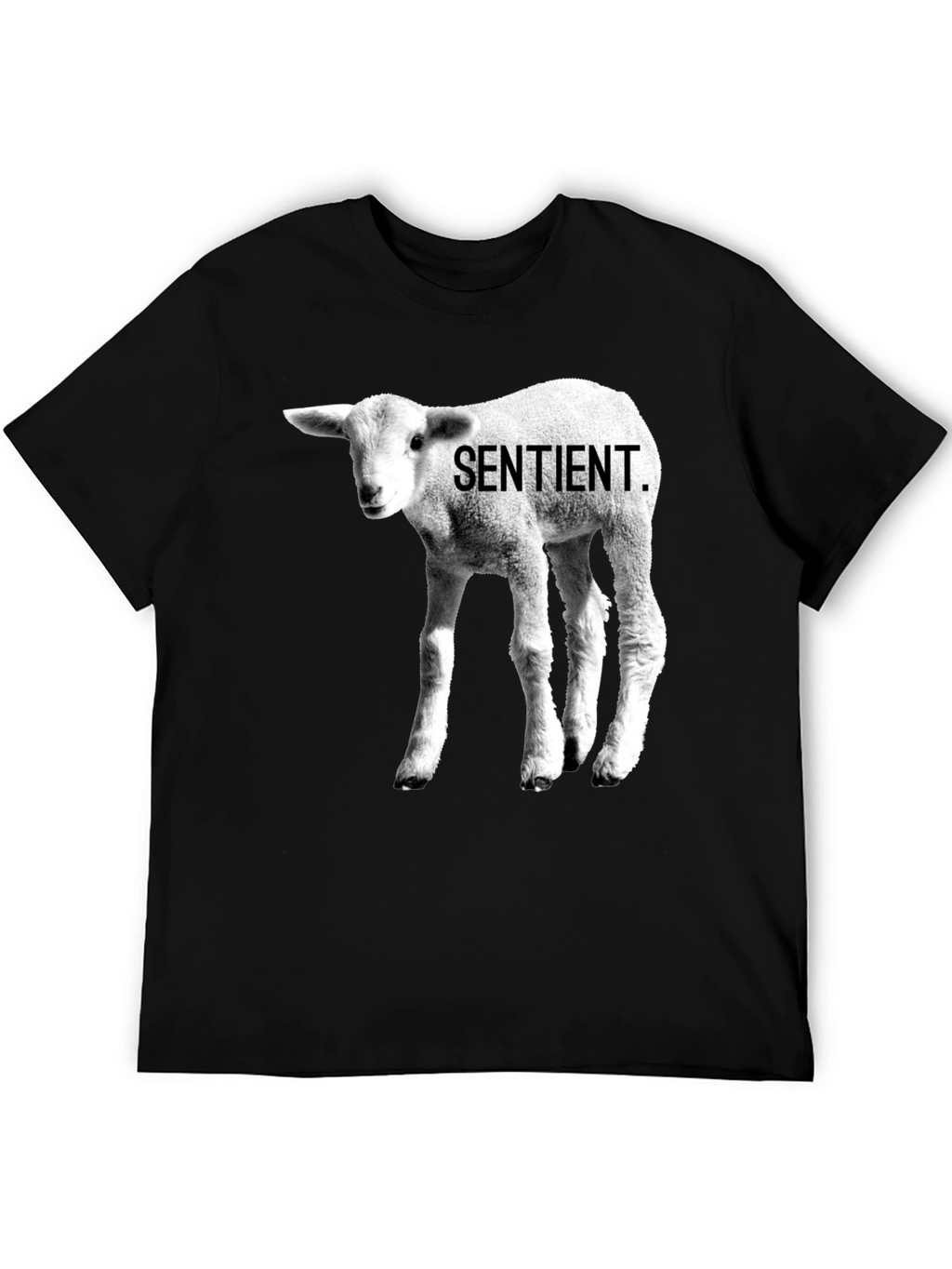 Sentient Lamb Graphic Tee - Black Cotton T-Shirt