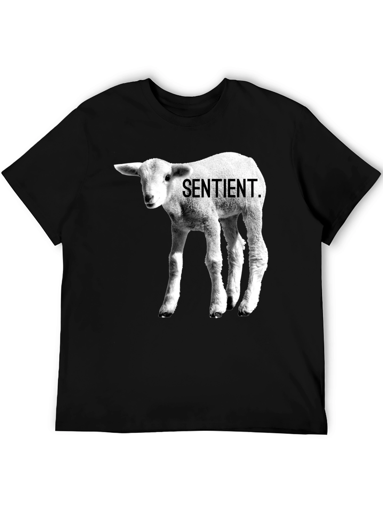 Sentient Lamb Graphic Tee - Black Cotton T-Shirt