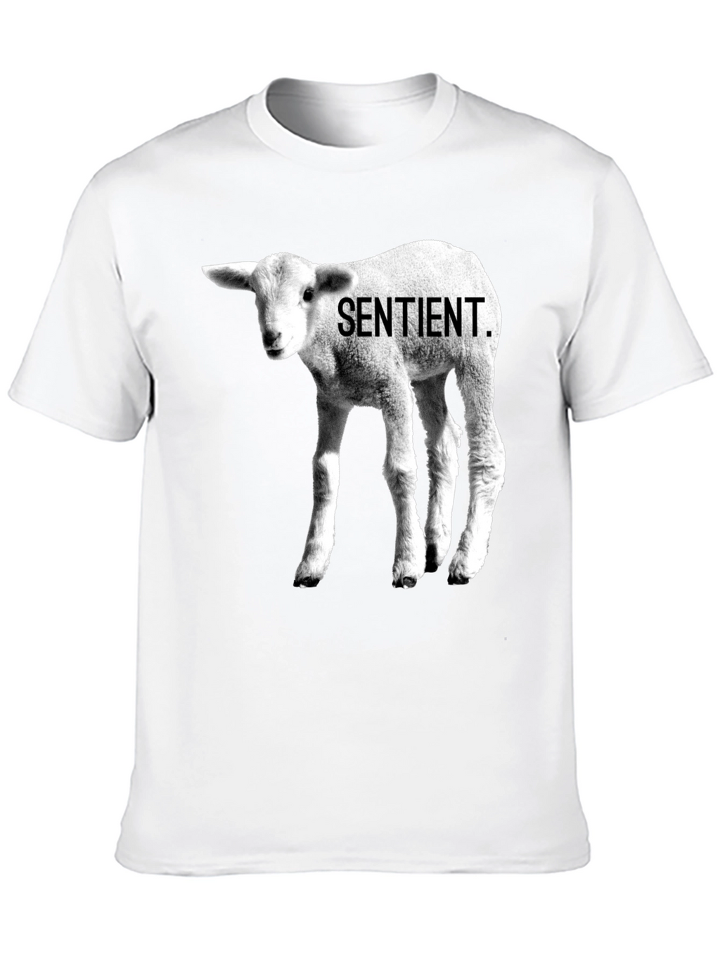 Sentient Lamb Graphic Tee - Black Cotton T-Shirt