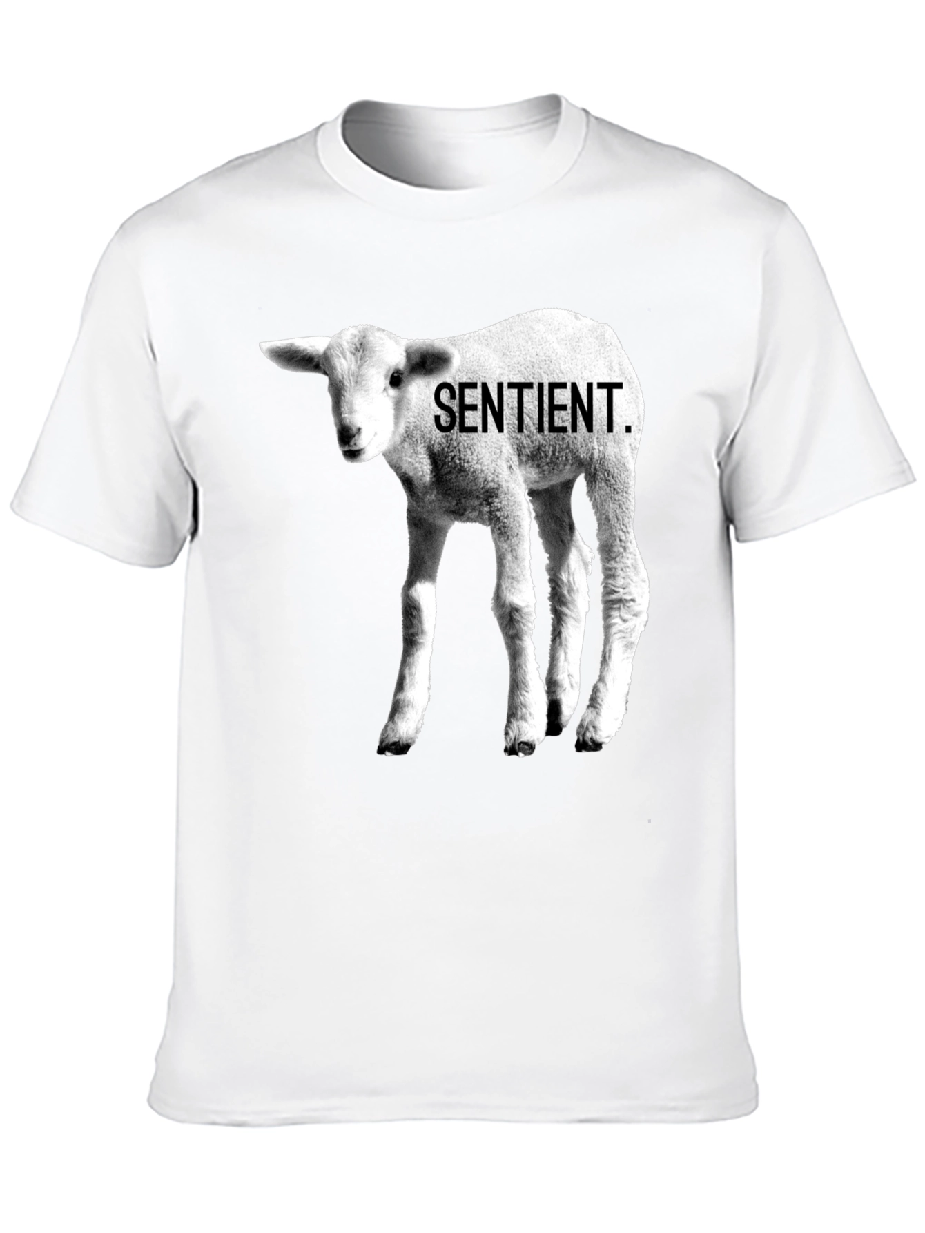 Sentient Lamb Graphic Tee - Black Cotton T-Shirt