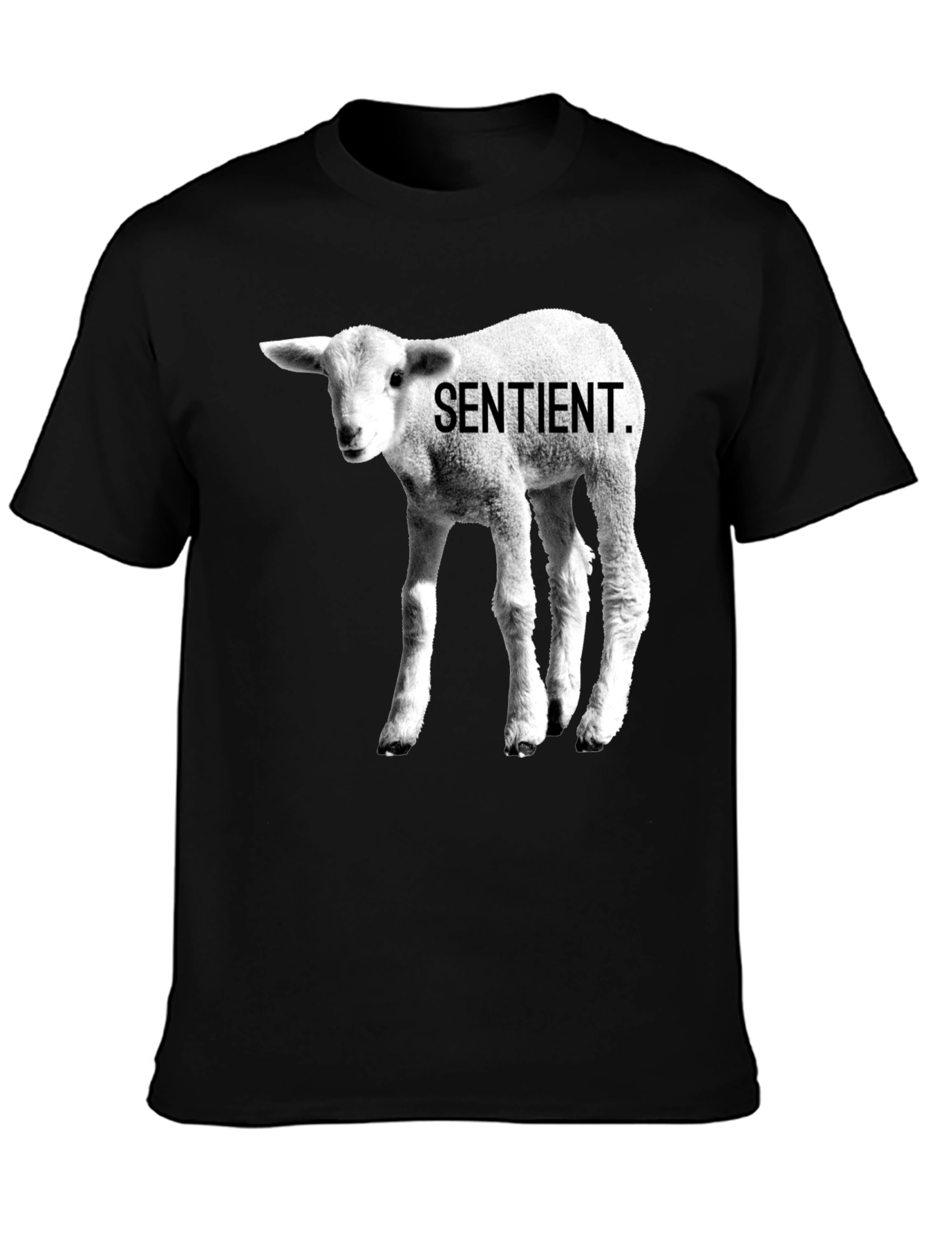 Sentient Lamb Graphic Tee - Black Cotton T-Shirt