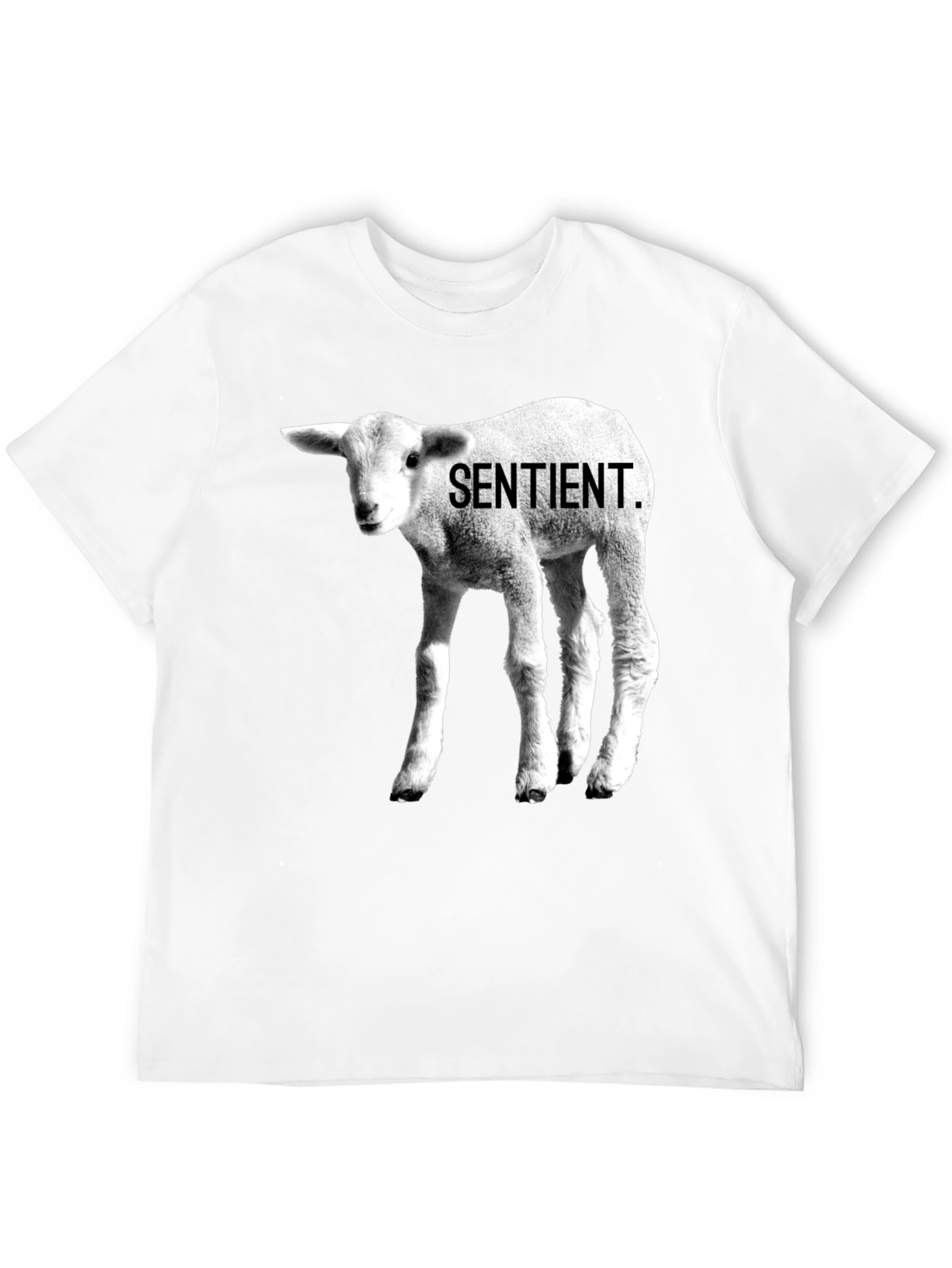 Sentient Lamb Graphic Tee - Black Cotton T-Shirt