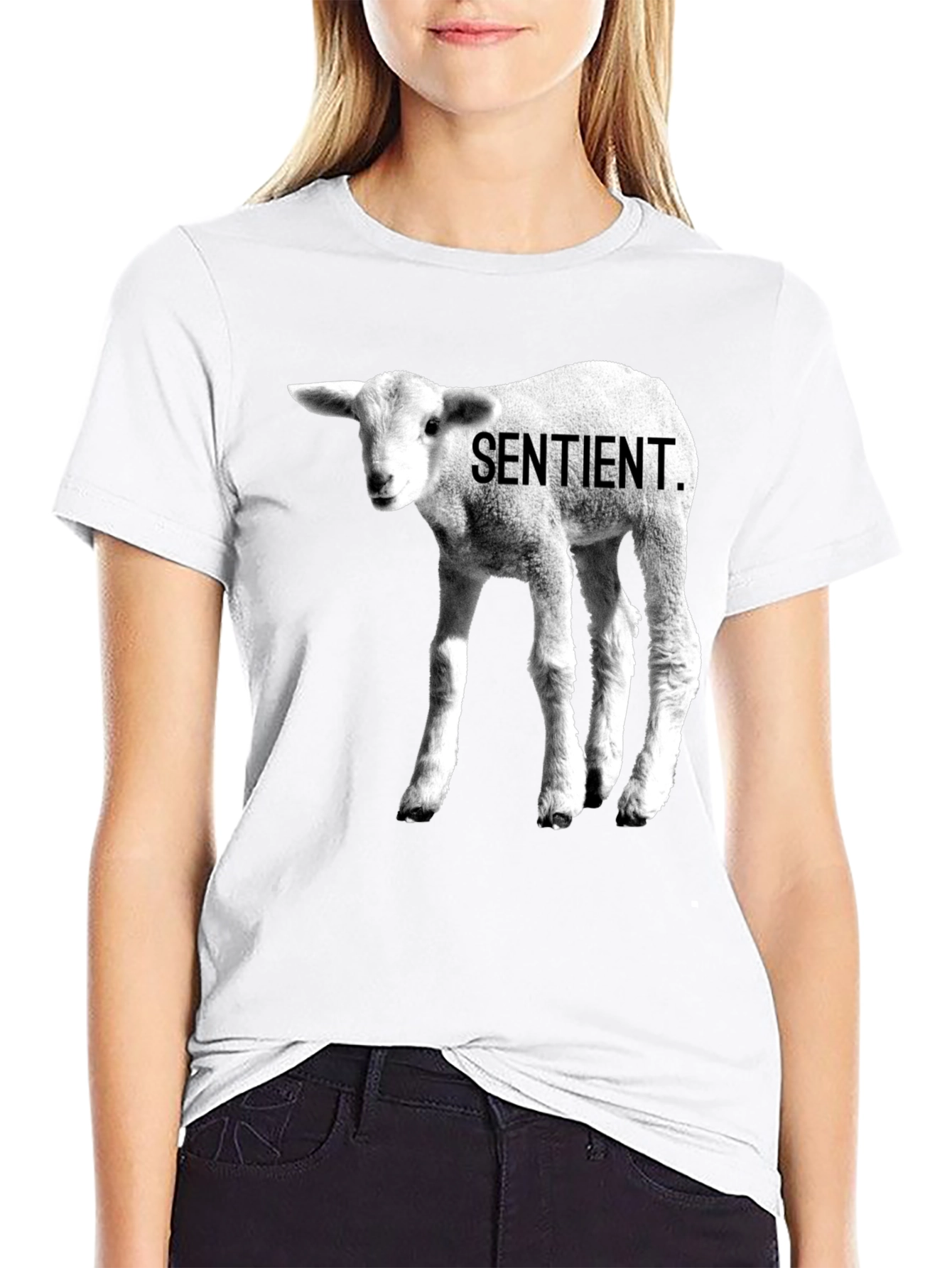 Sentient Lamb Graphic Tee - Black Cotton T-Shirt