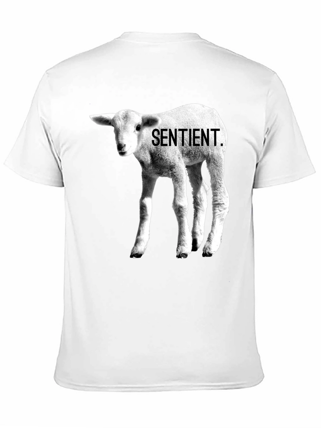 Sentient Lamb Graphic Tee - Black Cotton T-Shirt
