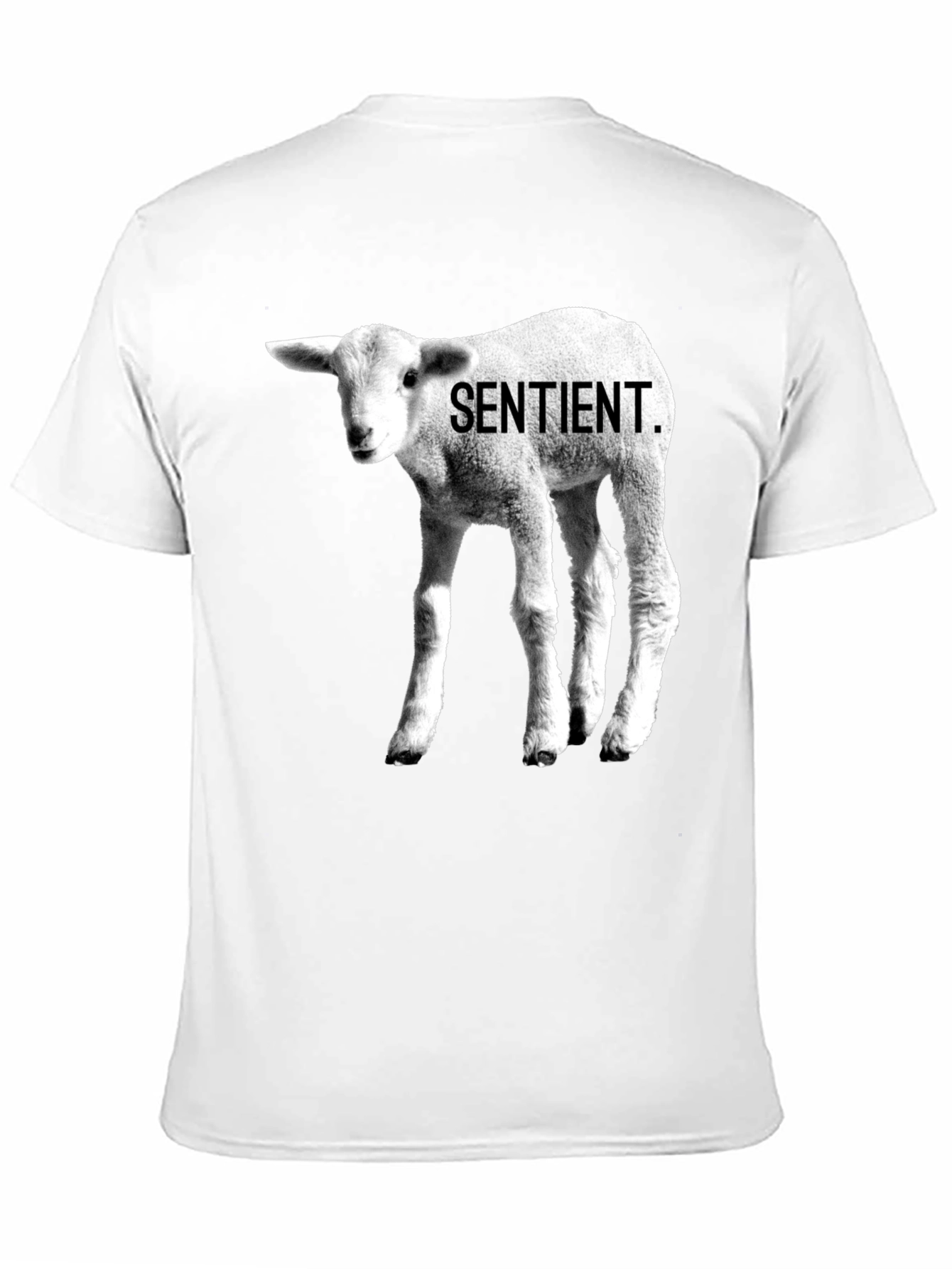 Sentient Lamb Graphic Tee - Black Cotton T-Shirt