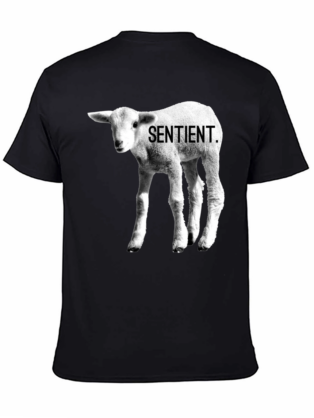 Sentient Lamb Graphic Tee - Black Cotton T-Shirt