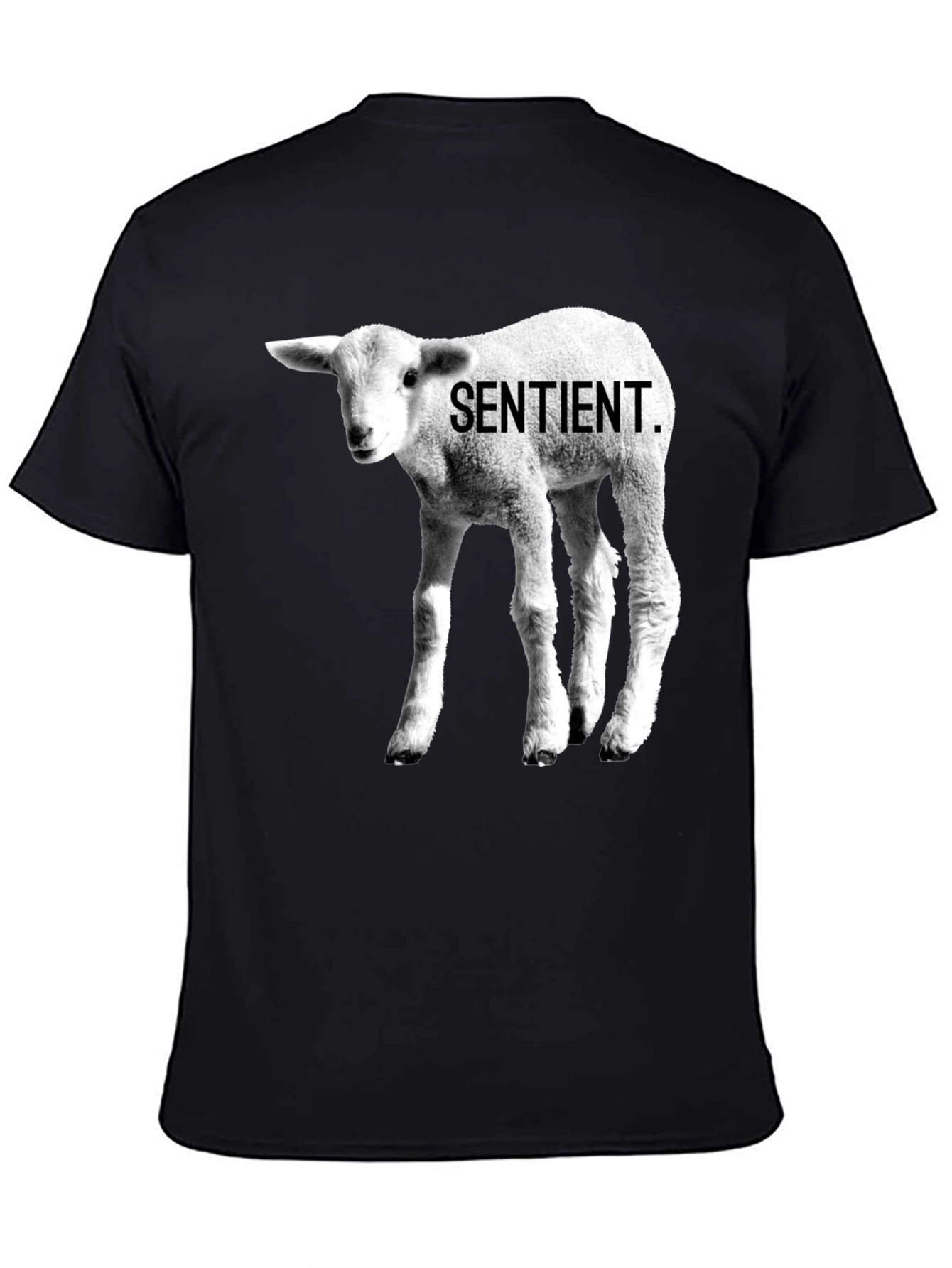 Sentient Lamb Graphic Tee - Black Cotton T-Shirt