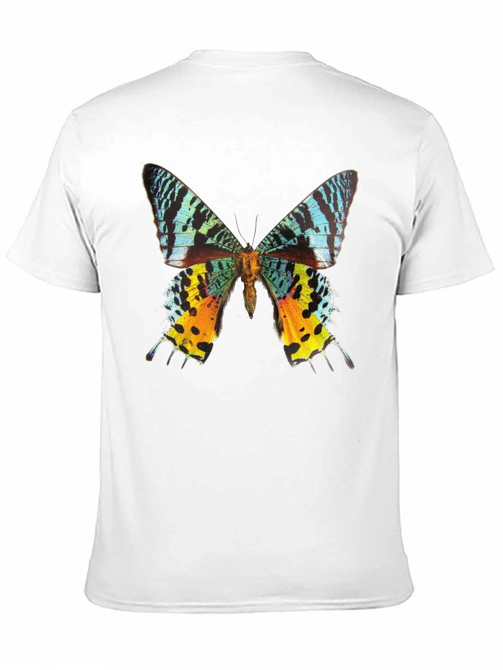 Butterfly Graphic Tee - Black Cotton T-Shirt