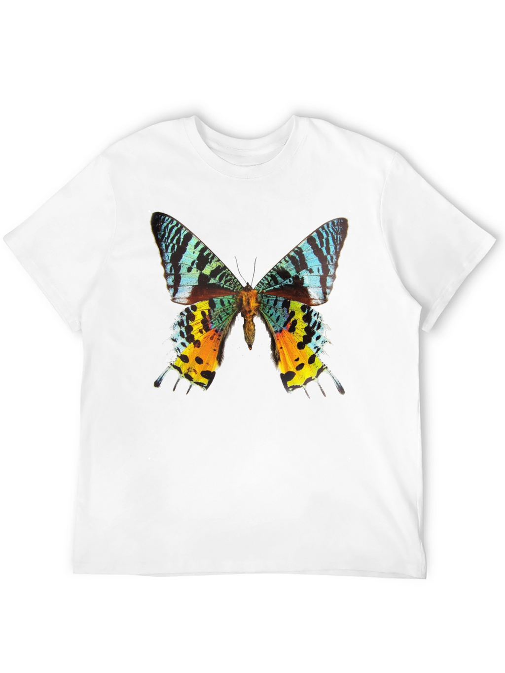 Butterfly Graphic Tee - Black Cotton T-Shirt