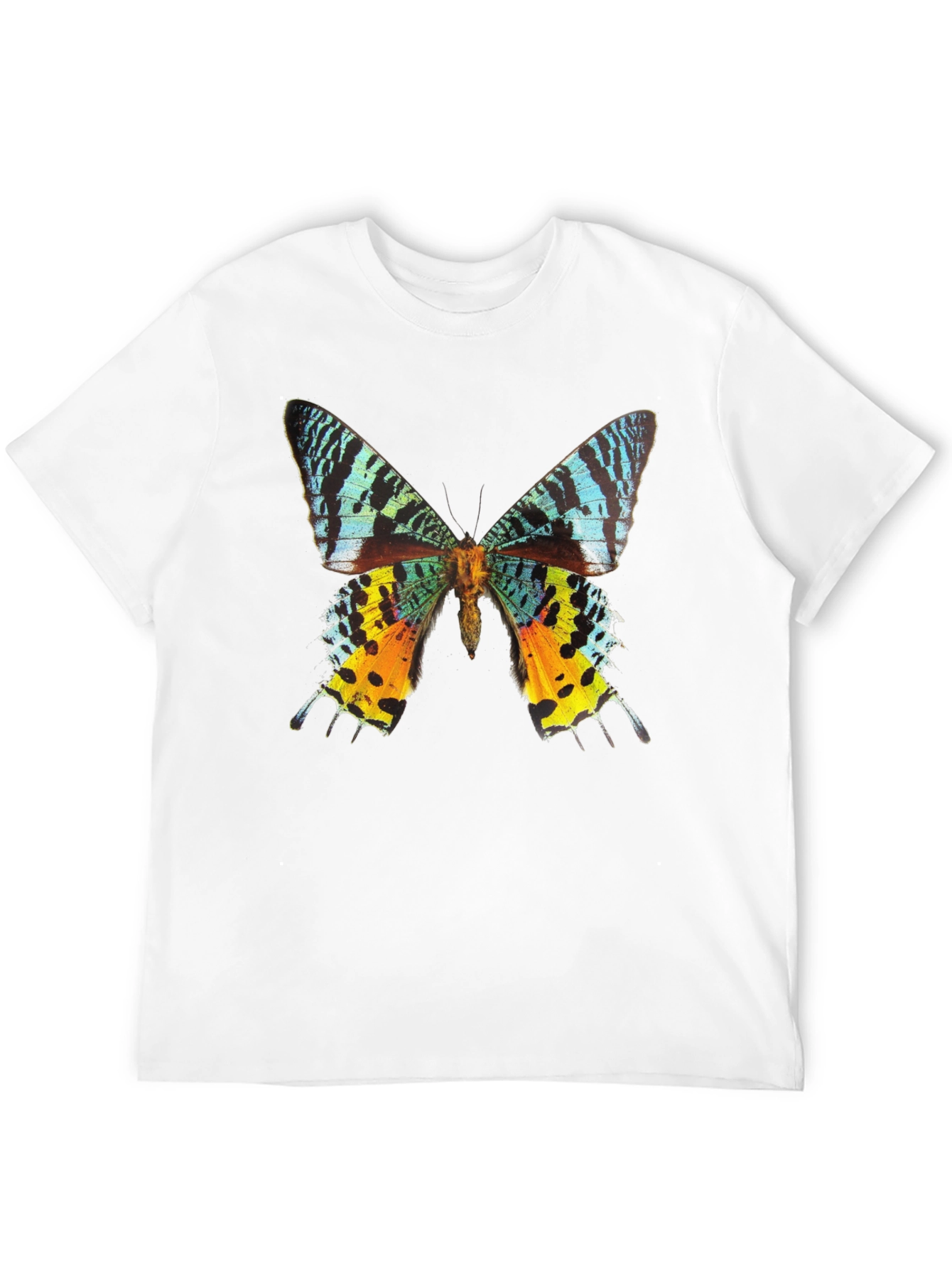 Butterfly Graphic Tee - Black Cotton T-Shirt