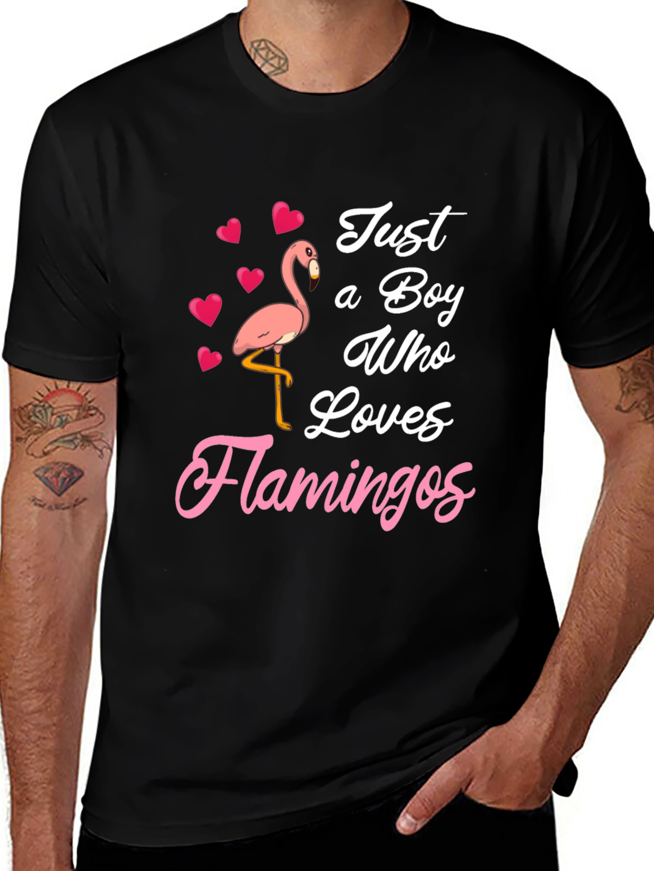 Just A Boy Who Loves Flamingos T-Shirt