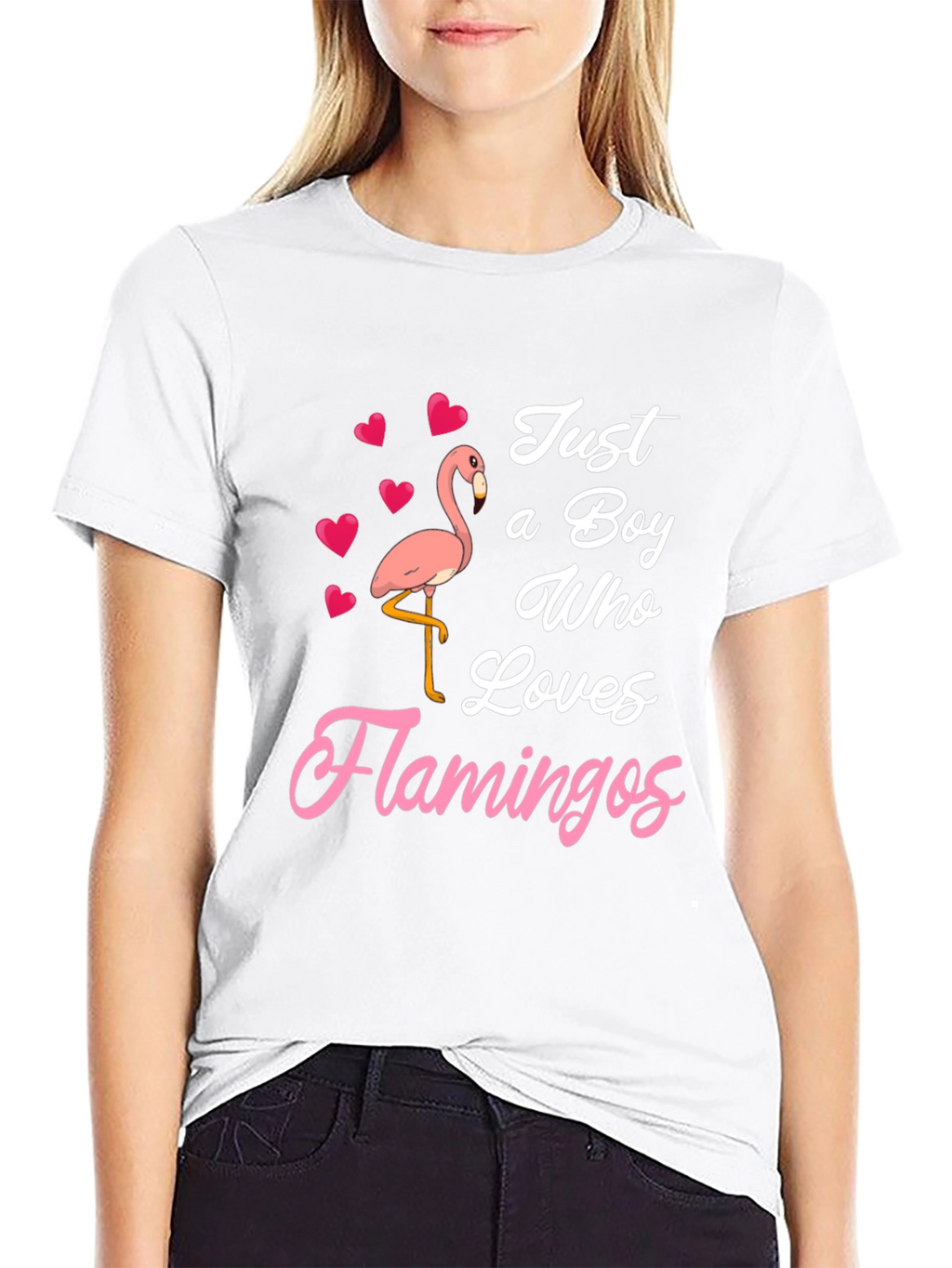 Just A Boy Who Loves Flamingos T-Shirt