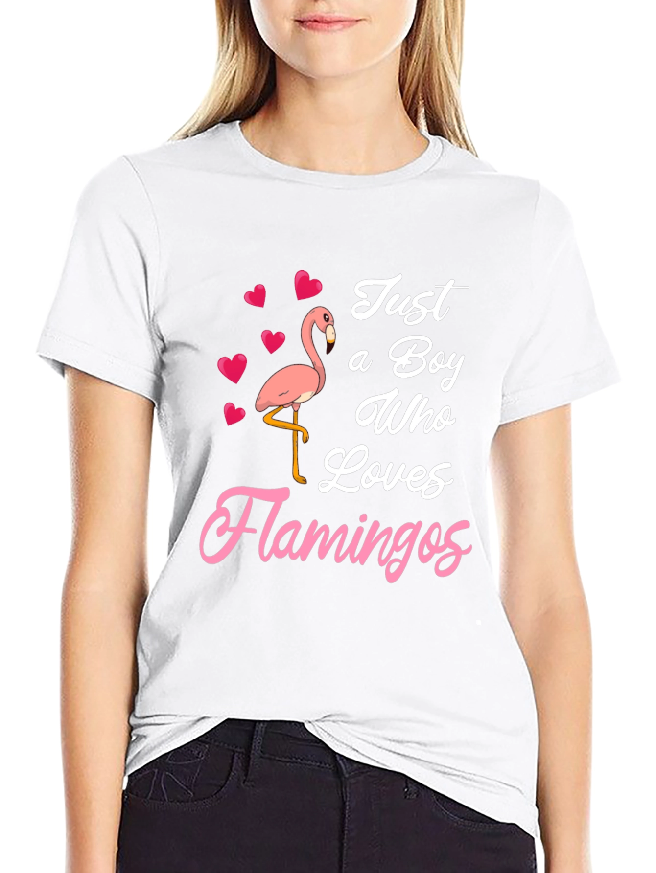 Just A Boy Who Loves Flamingos T-Shirt