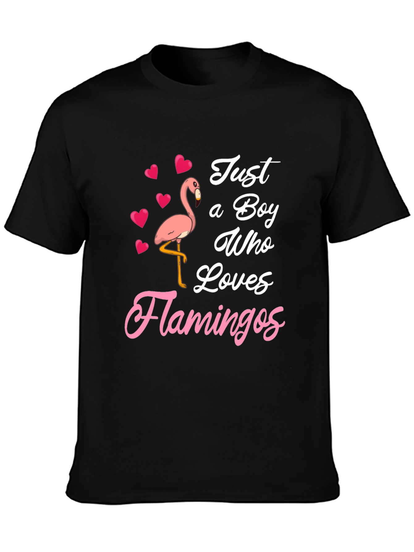 Just A Boy Who Loves Flamingos T-Shirt