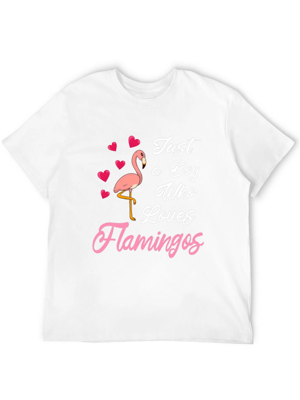 Just A Boy Who Loves Flamingos T-Shirt