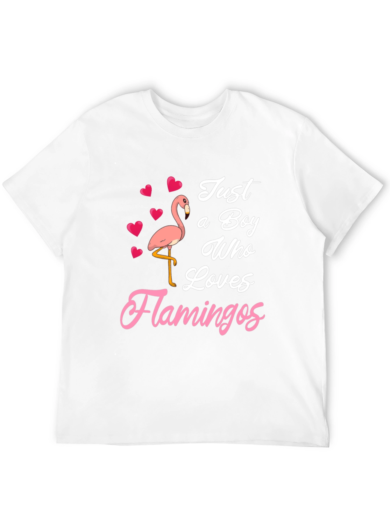 Just A Boy Who Loves Flamingos T-Shirt