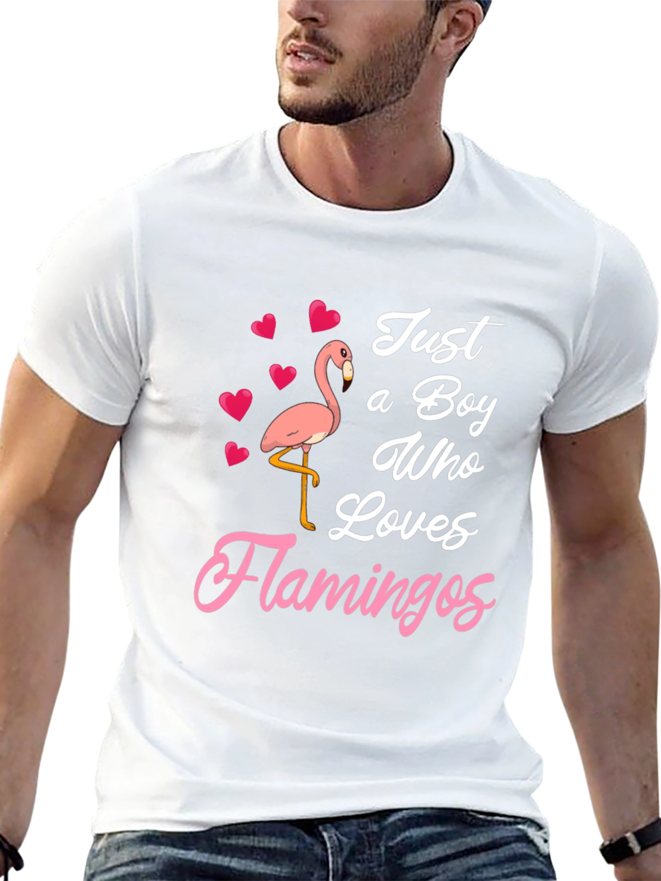 Just A Boy Who Loves Flamingos T-Shirt