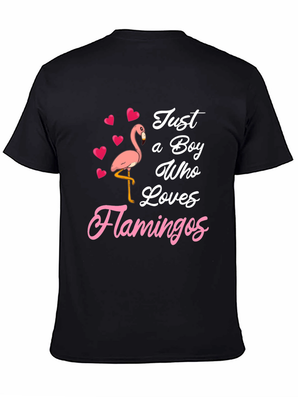 Just A Boy Who Loves Flamingos T-Shirt