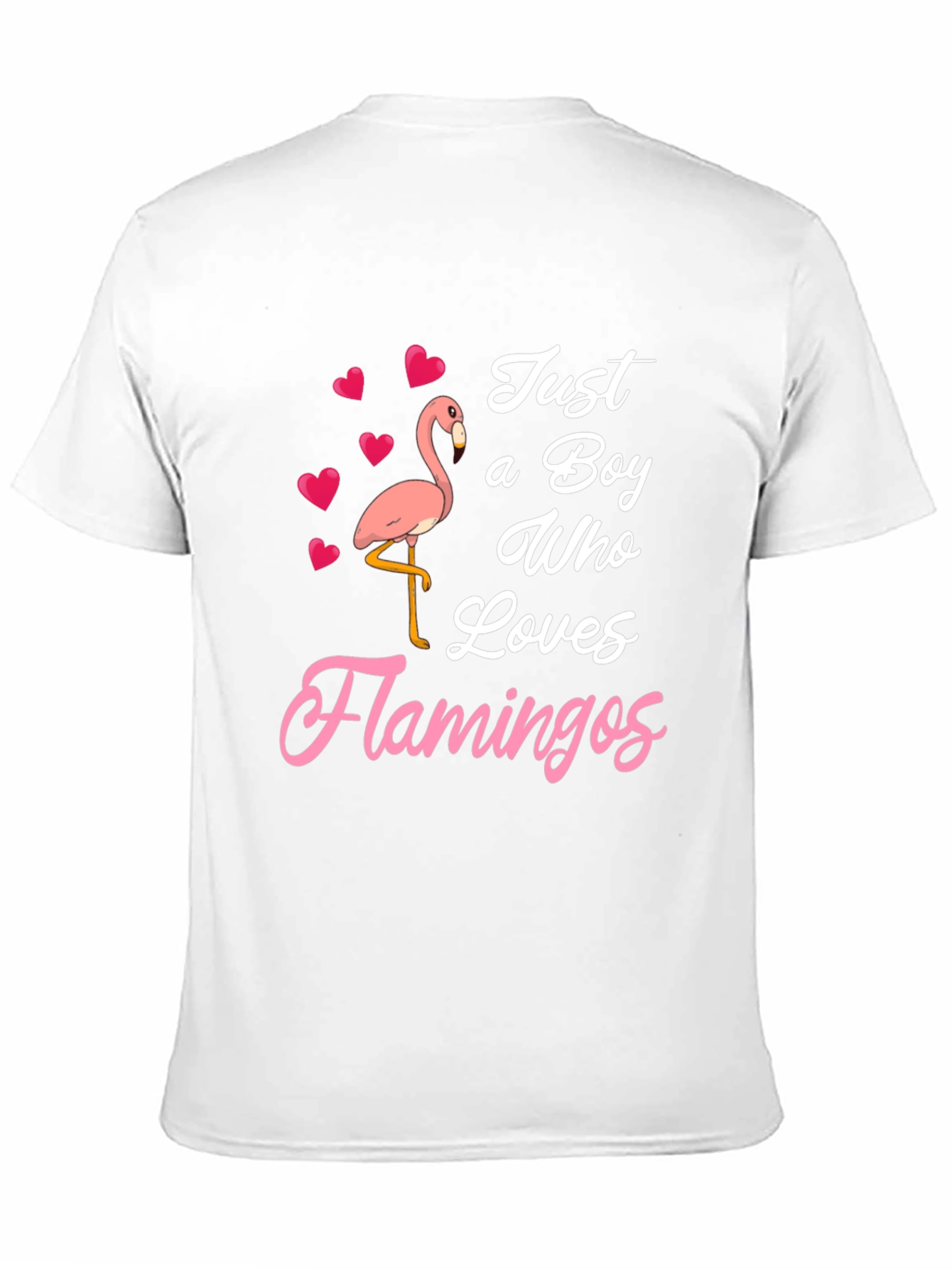 Just A Boy Who Loves Flamingos T-Shirt