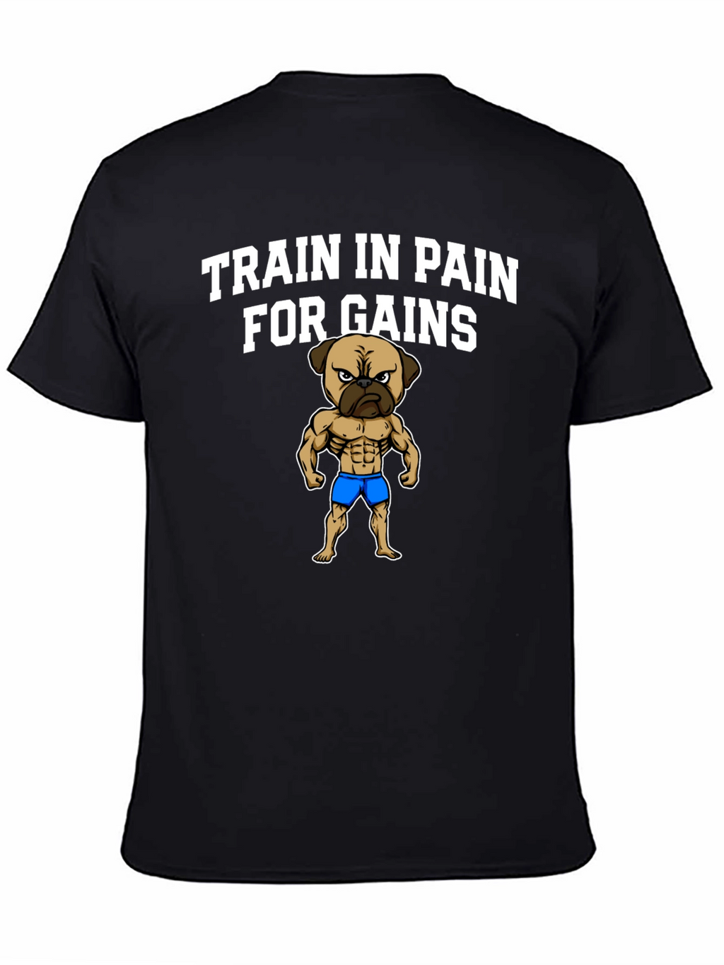 Train in Pain for Gains T-Shirt