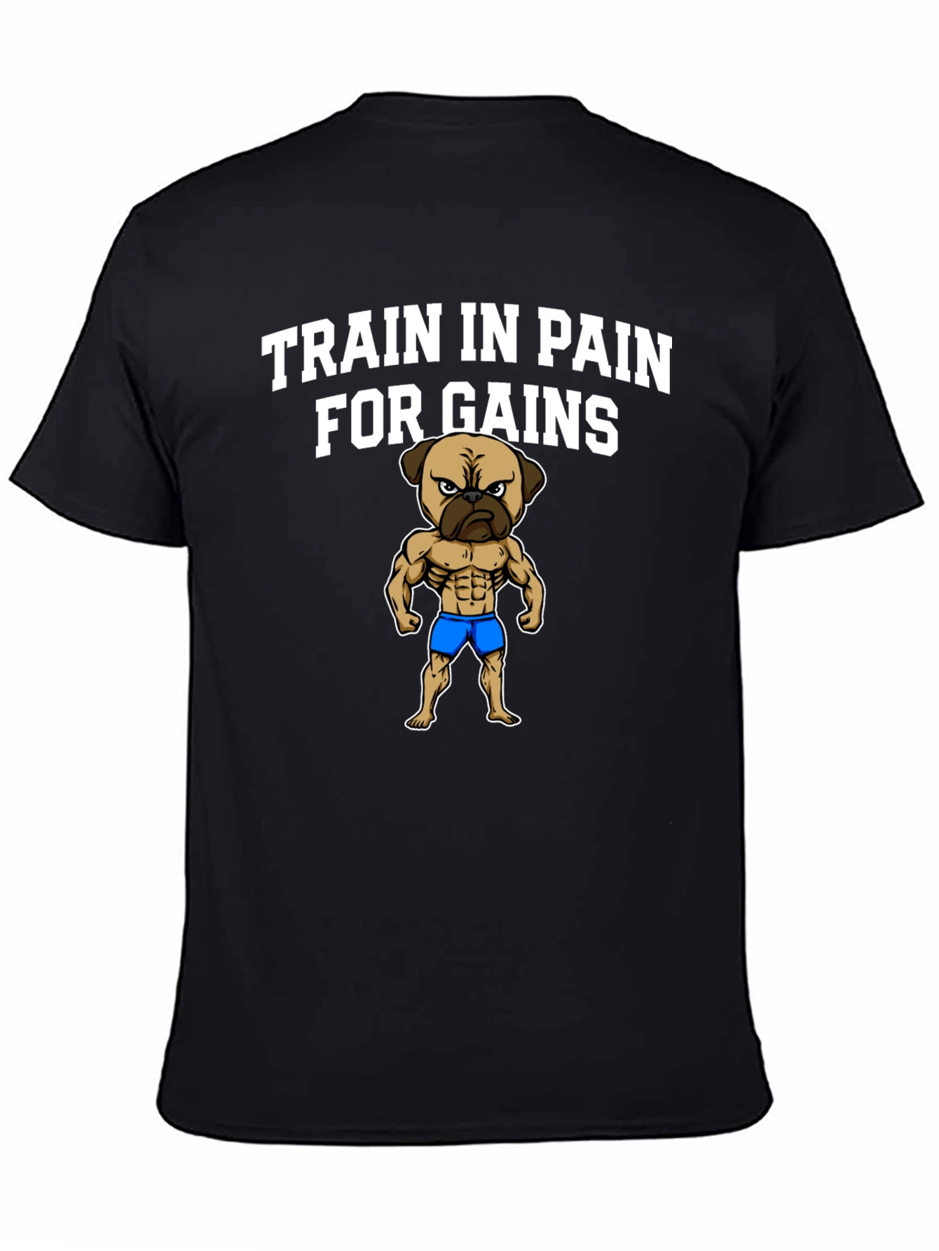 Train in Pain for Gains T-Shirt