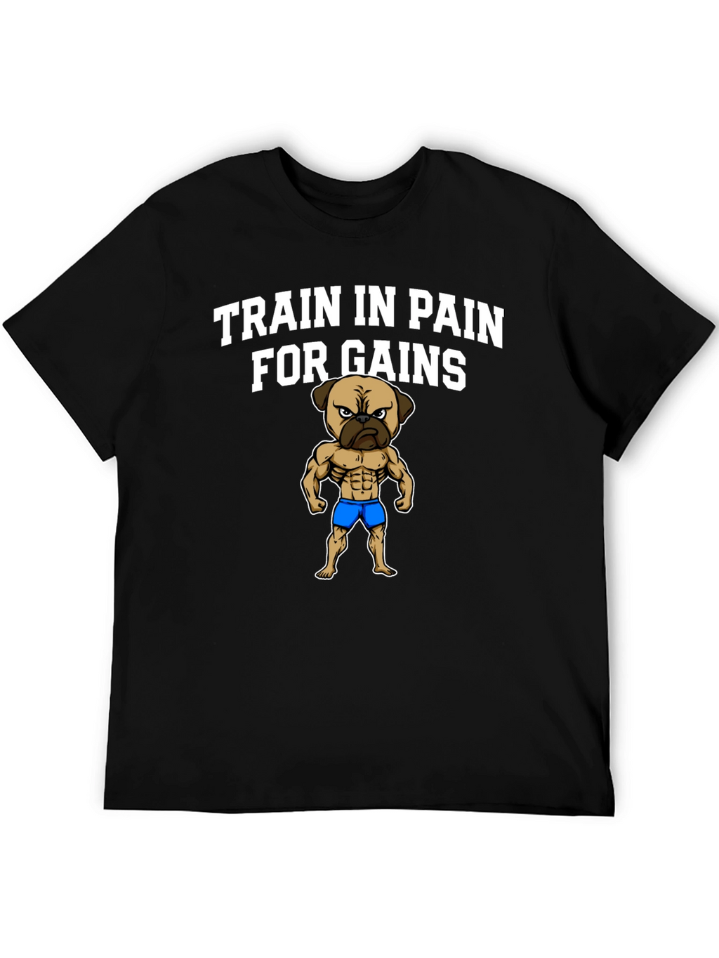 Train in Pain for Gains T-Shirt