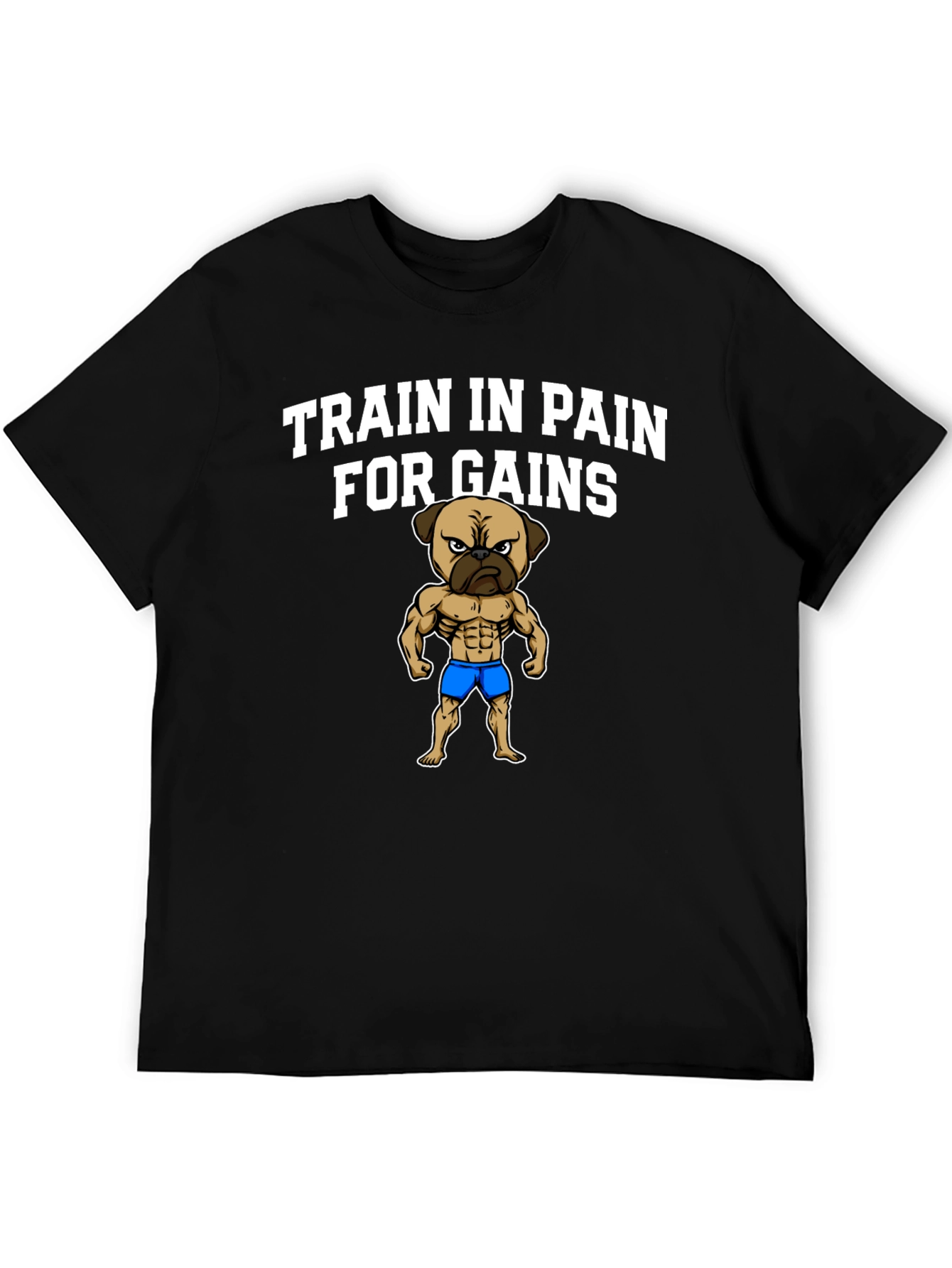 Train in Pain for Gains T-Shirt
