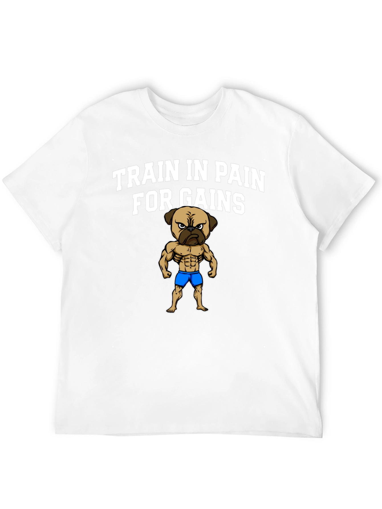 Train in Pain for Gains T-Shirt