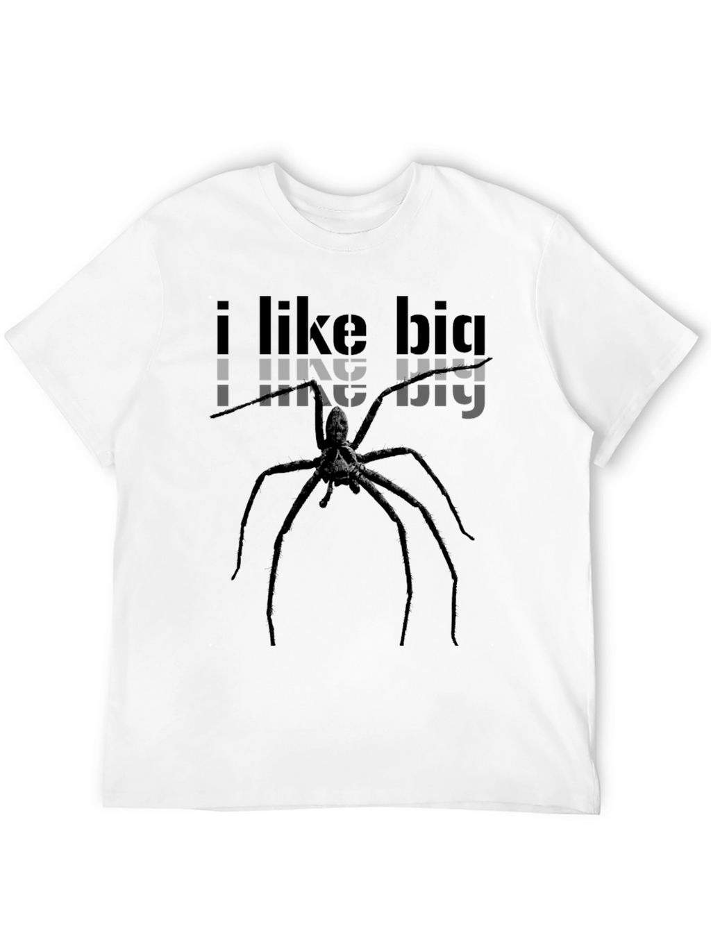I Like Big Spiders Funny Graphic Tee Shirt