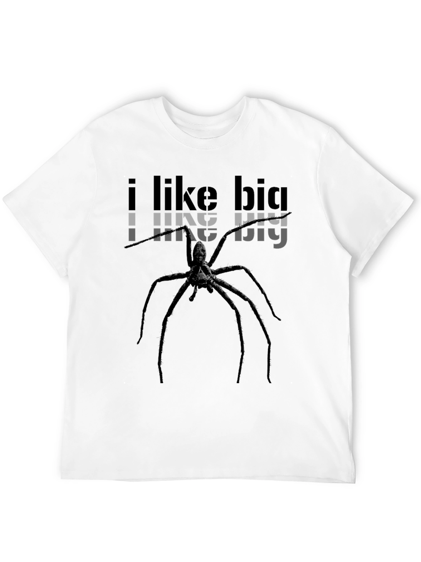 I Like Big Spiders Funny Graphic Tee Shirt
