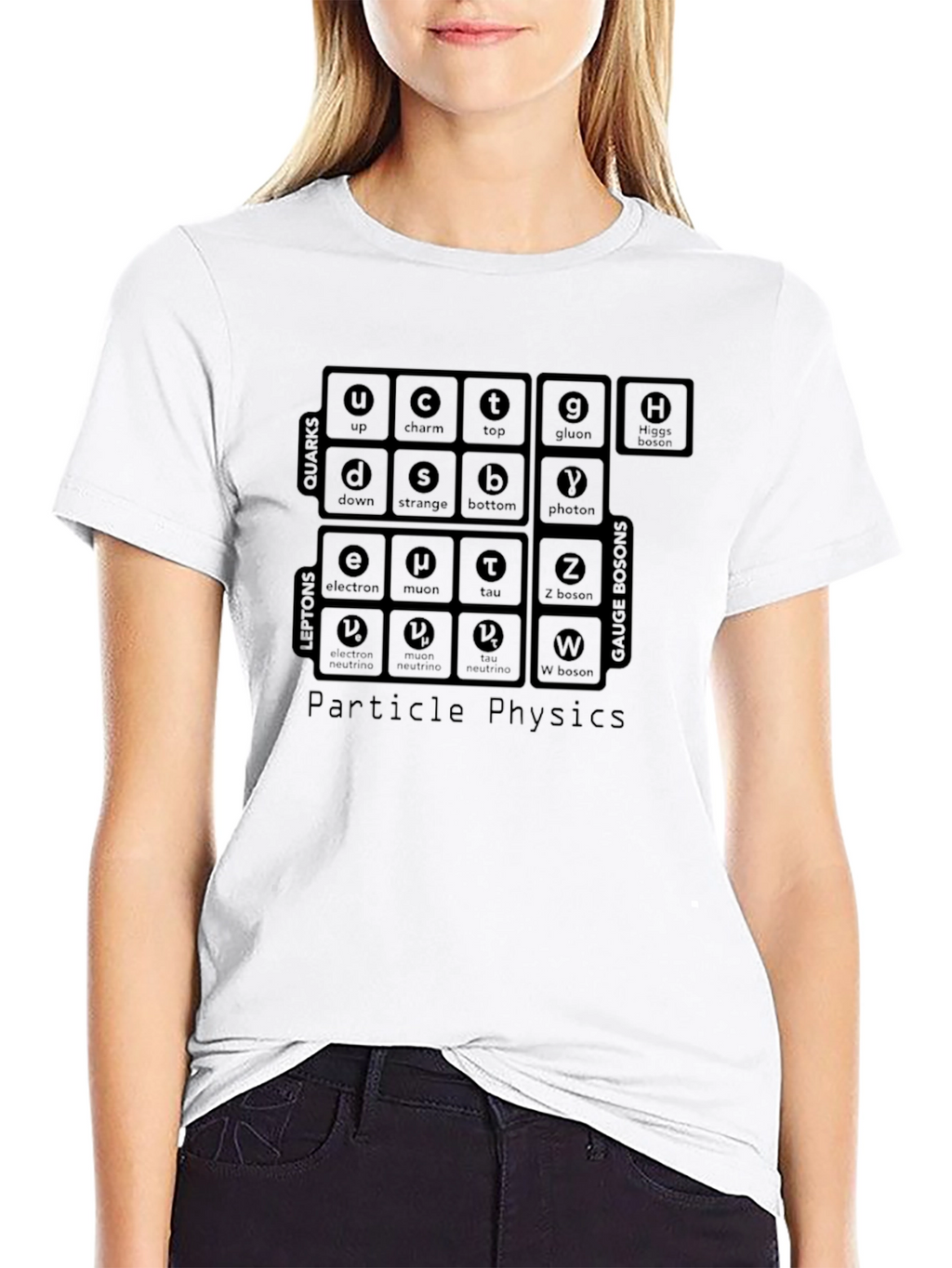 Particle Physics T-Shirt: Quarks Leptons Gauge Bosons