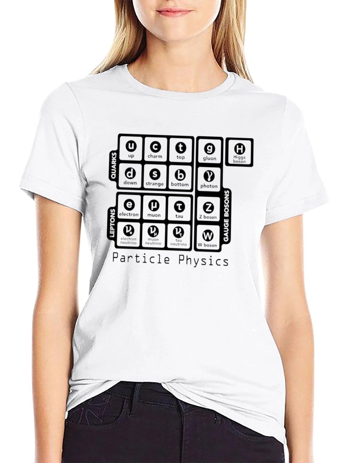 Particle Physics T-Shirt: Quarks Leptons Gauge Bosons
