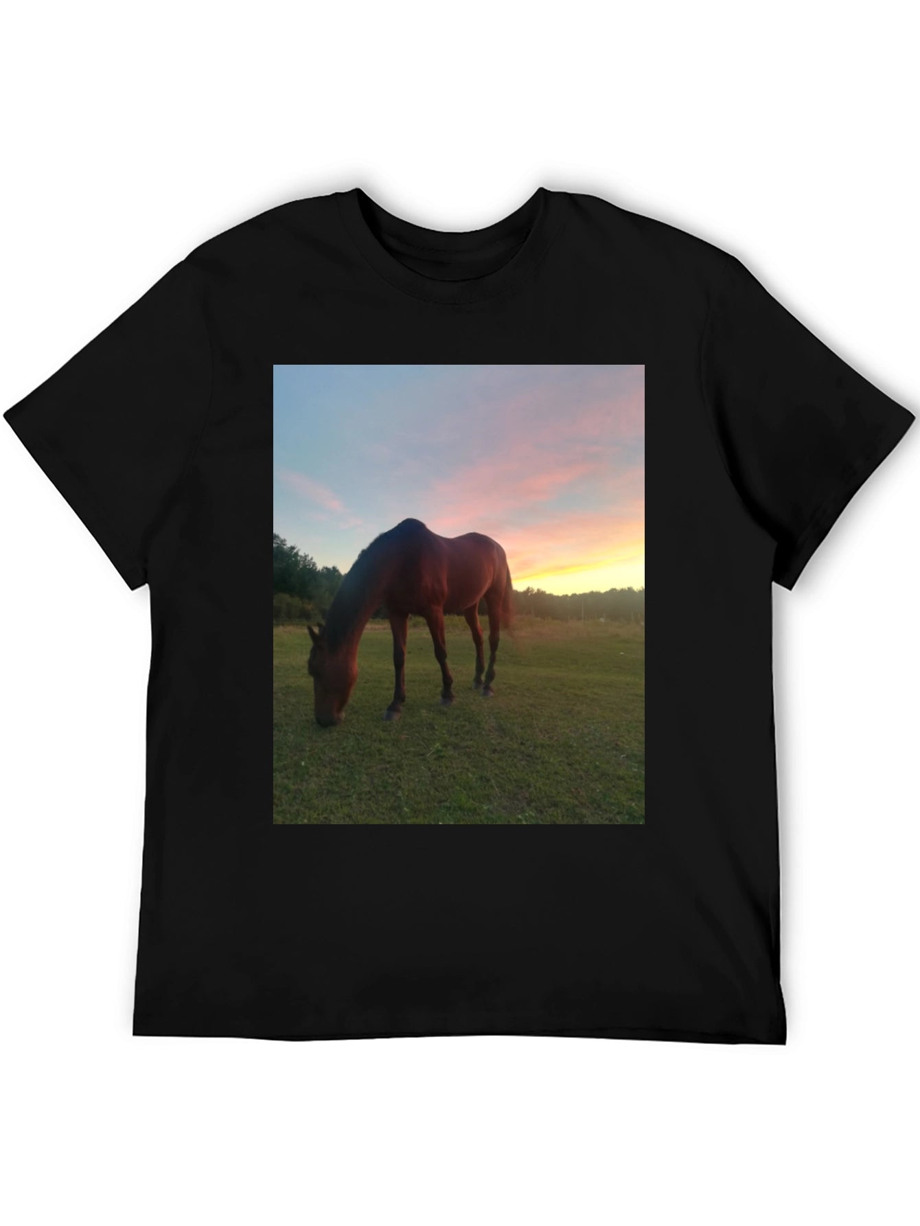 Horse Sunset Graphic Tee - Nature Lover Shirt