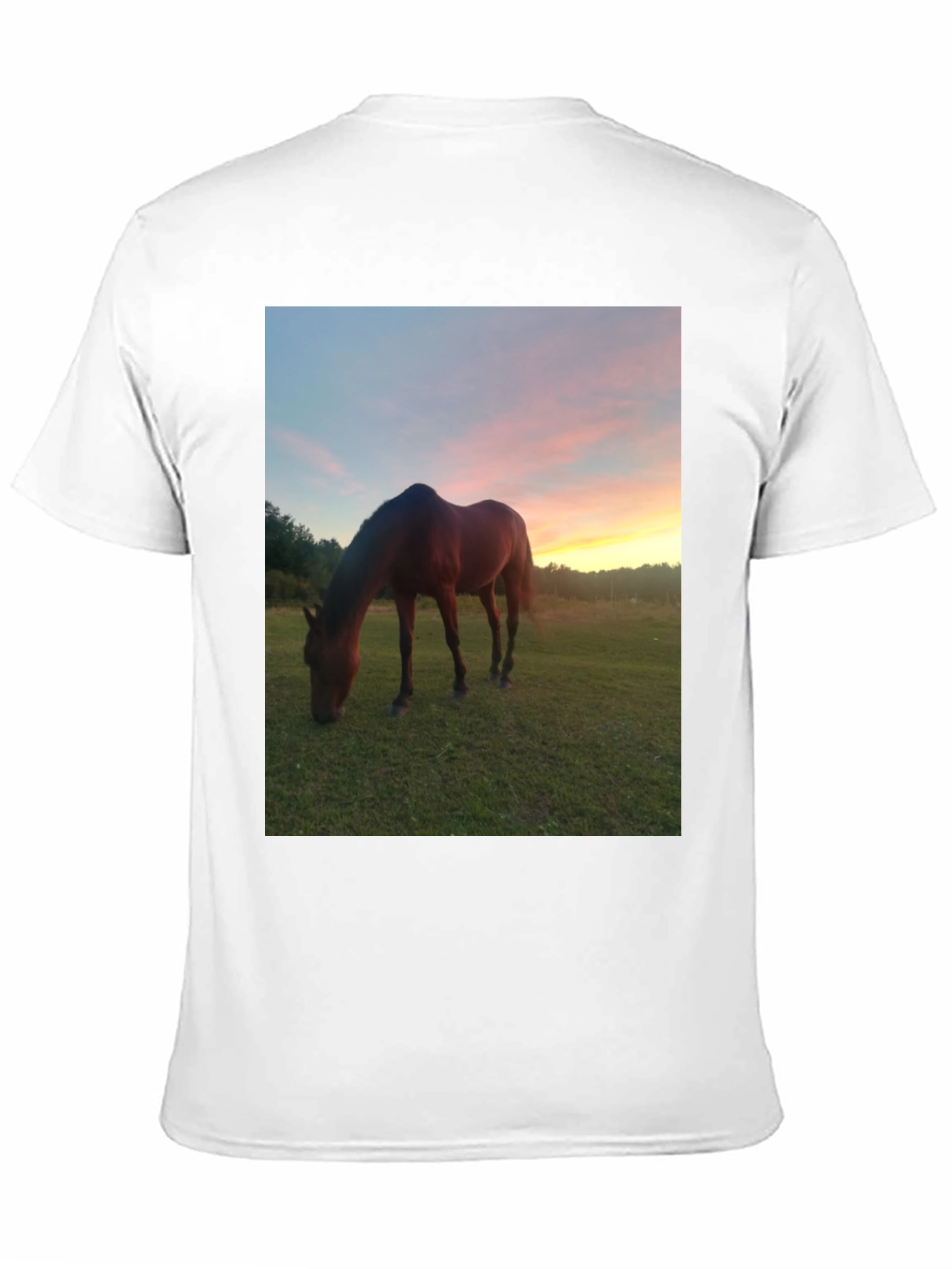 Horse Sunset Graphic Tee - Nature Lover Shirt