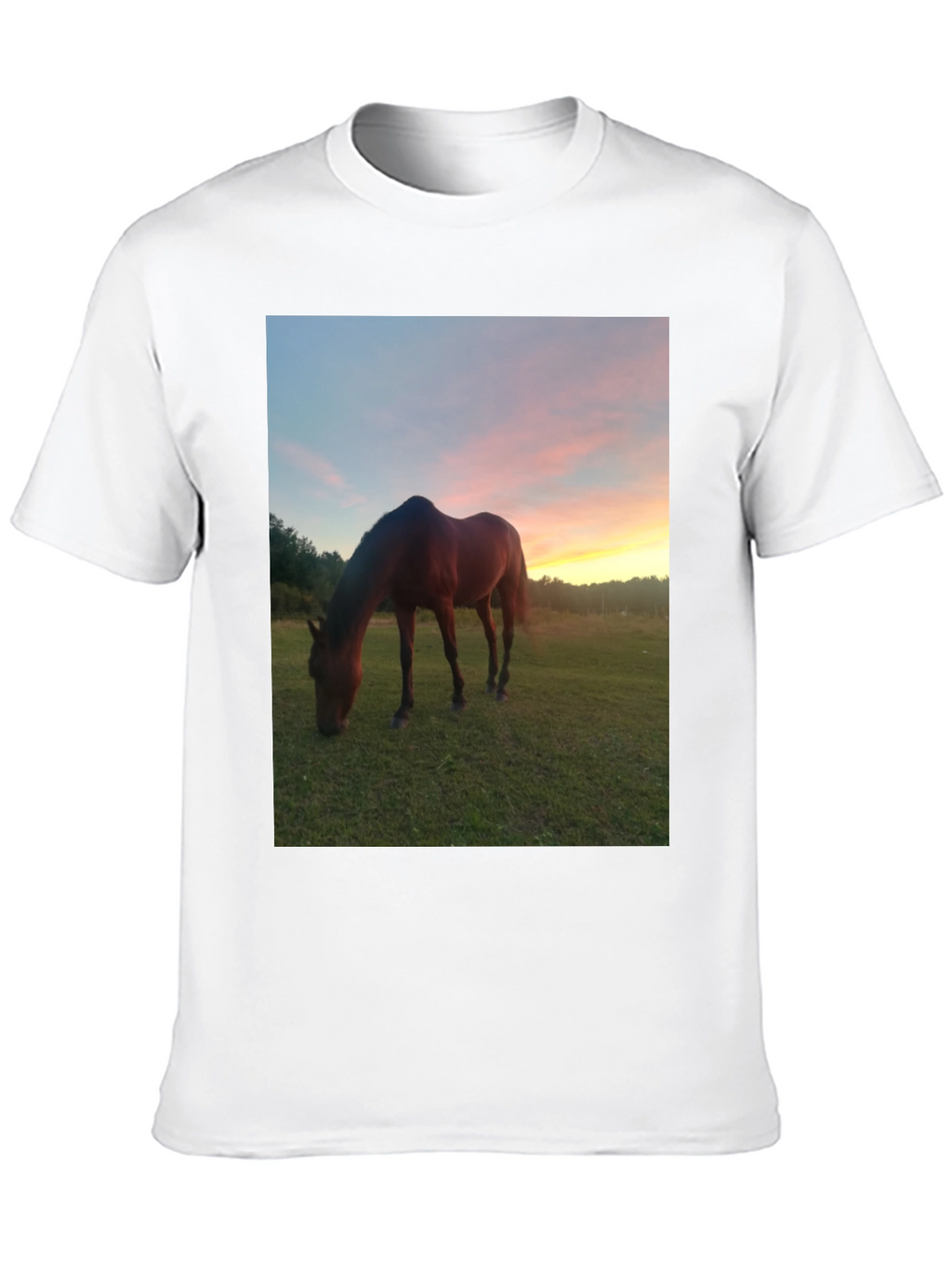 Horse Sunset Graphic Tee - Nature Lover Shirt