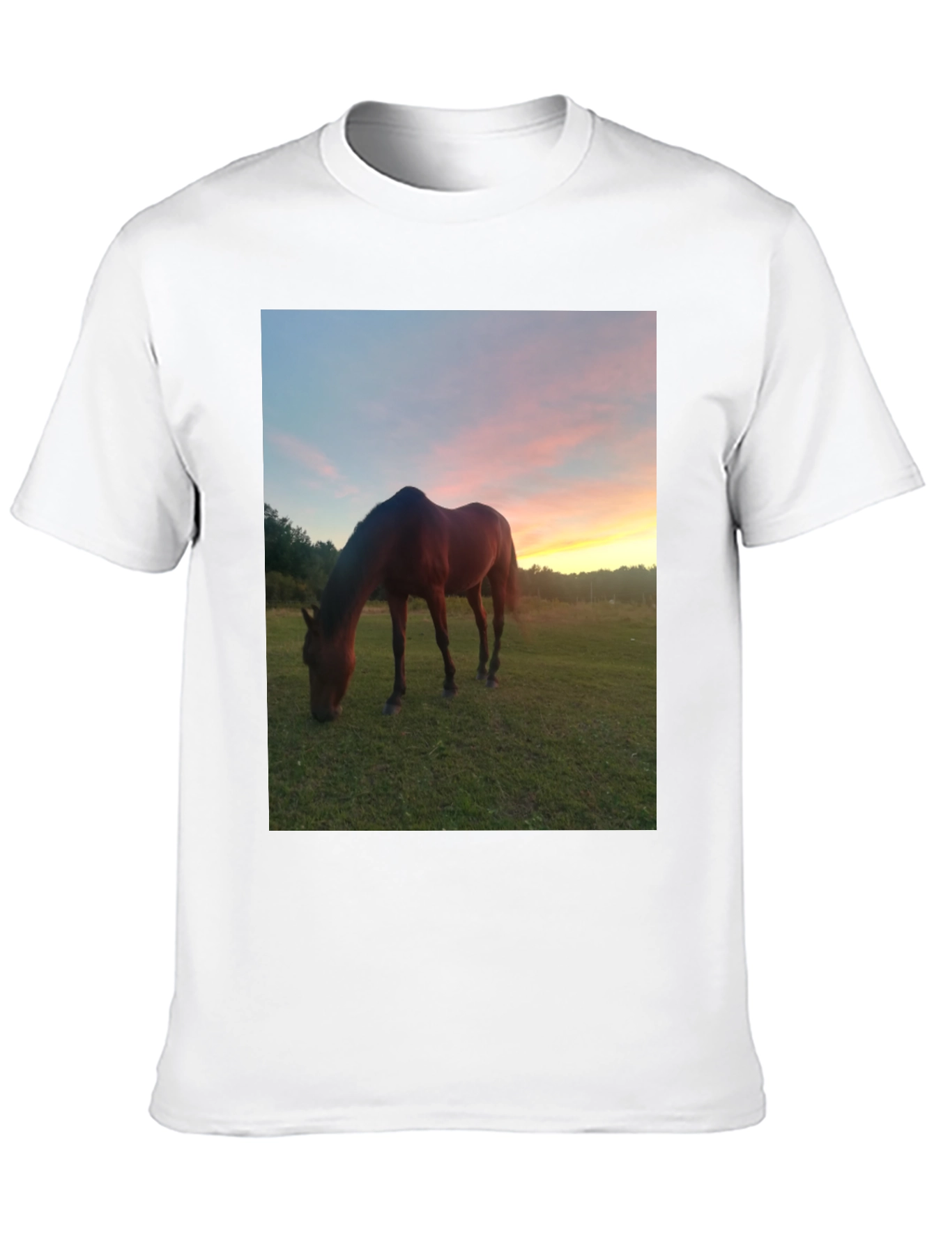 Horse Sunset Graphic Tee - Nature Lover Shirt