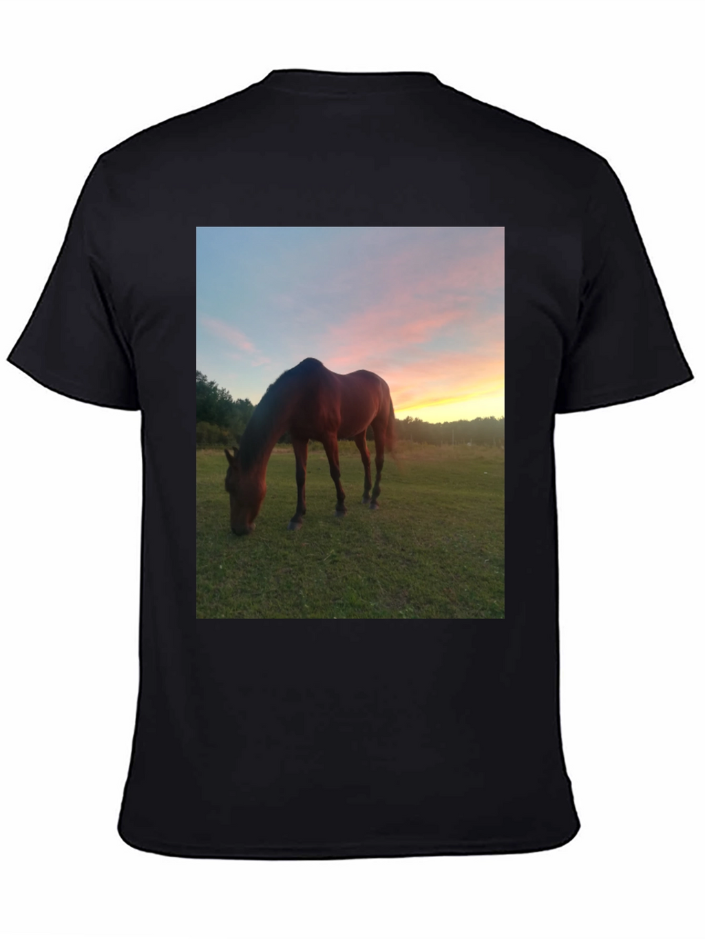 Horse Sunset Graphic Tee - Nature Lover Shirt